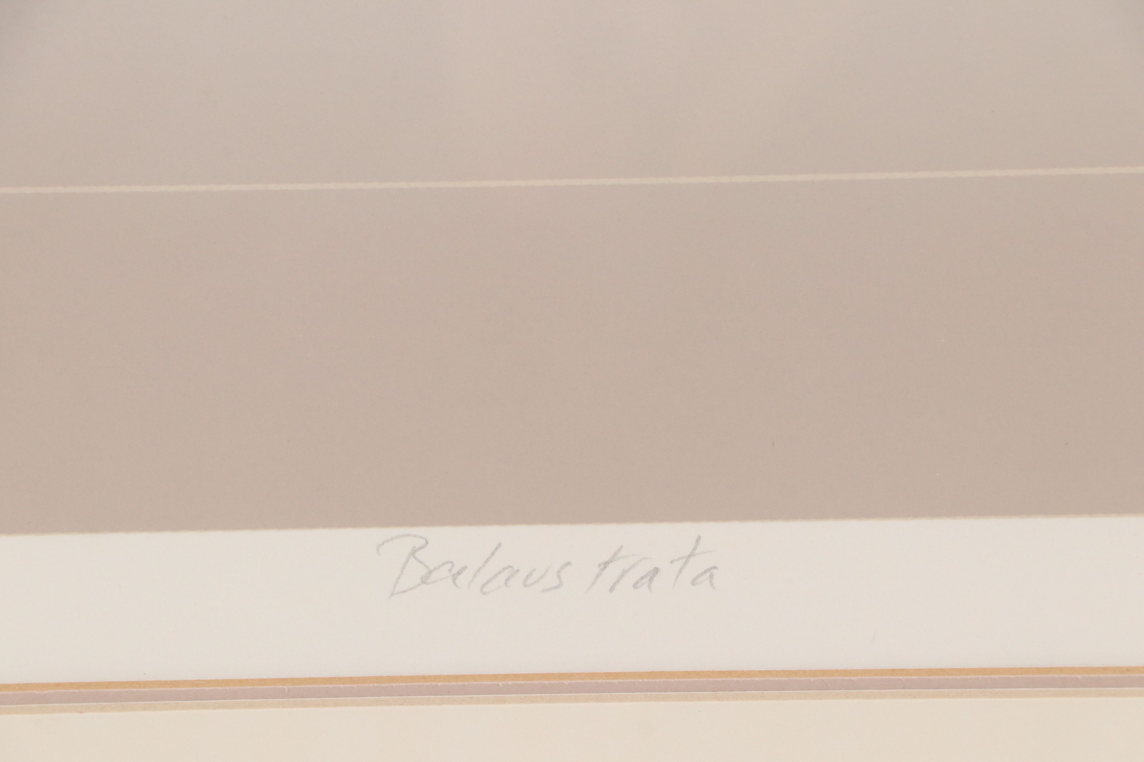 Modern Screenprint "Balaustrata," Late 20th Century