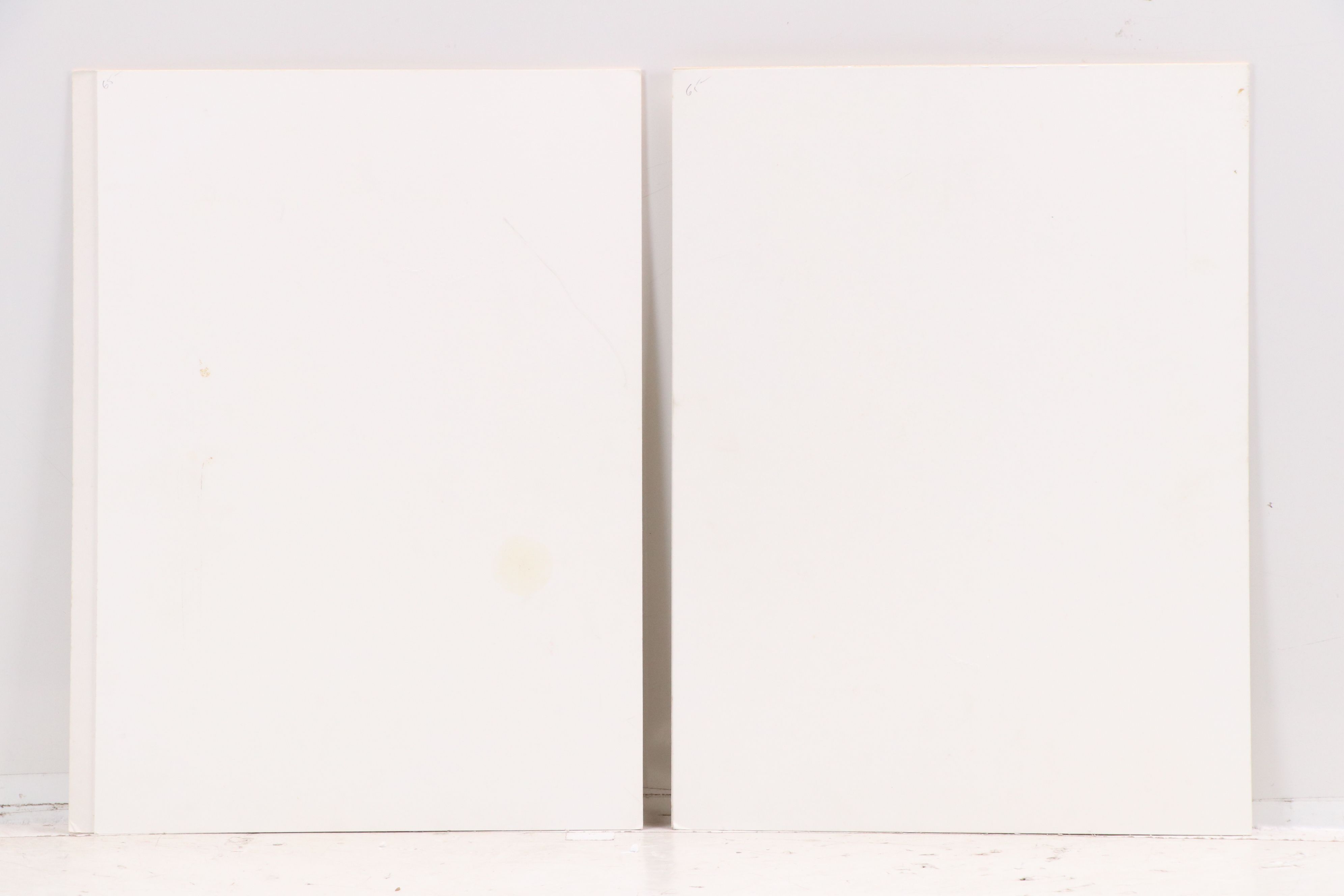 Albert Racinet Lithographs "Indien" Pattern Studies, 1869-1873