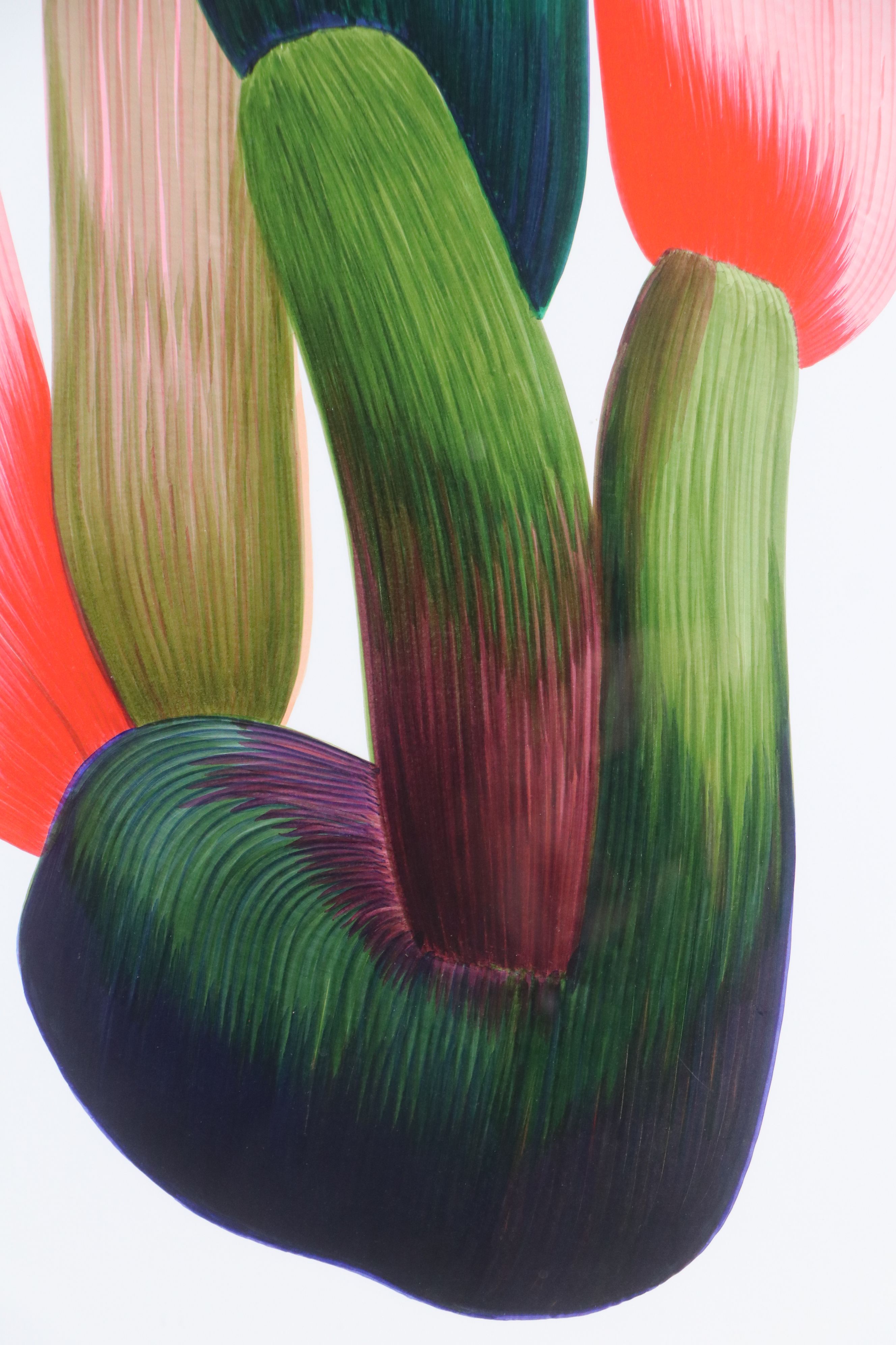 Offset Lithograph of Cactus, 21st Century