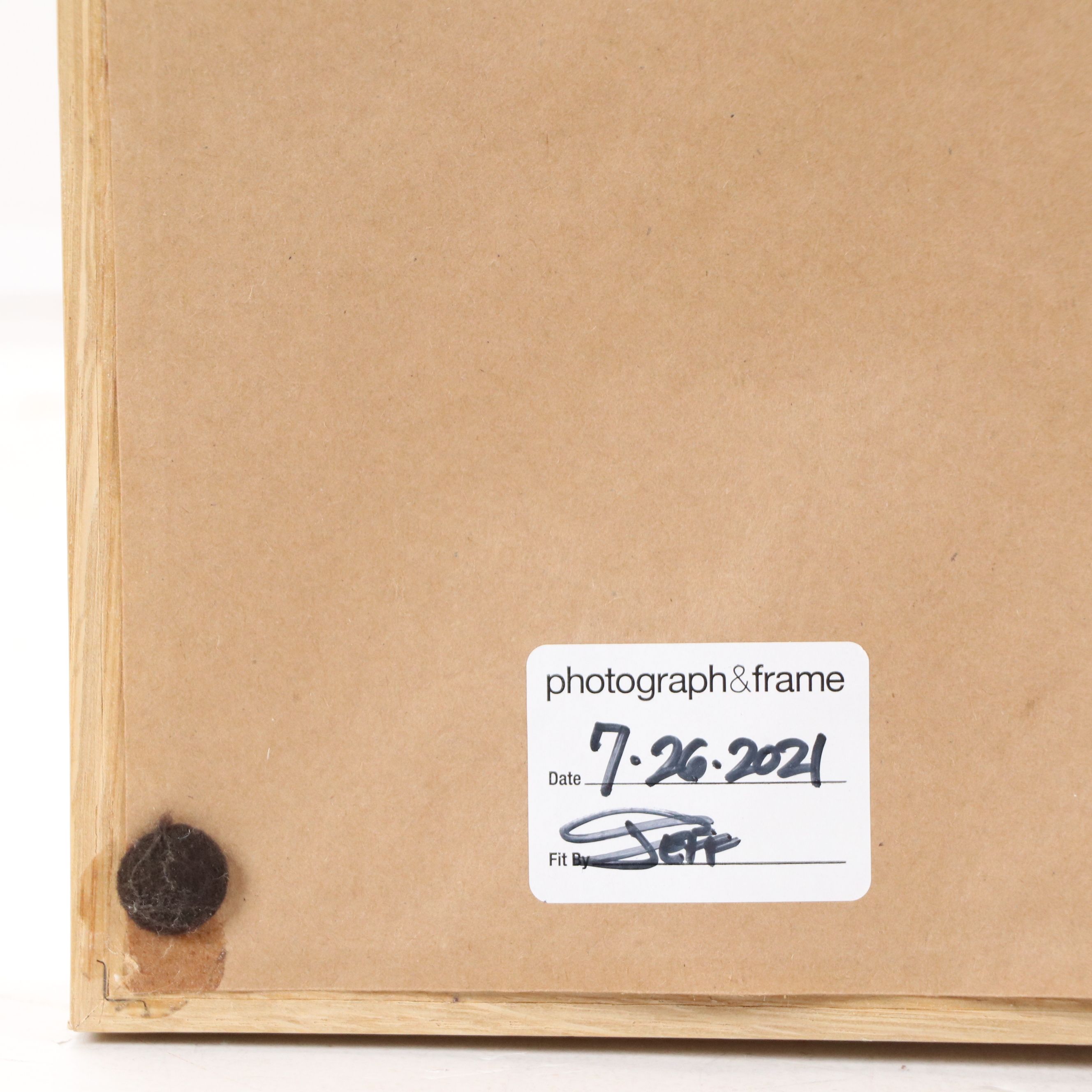 Offset Lithograph of Cactus, 21st Century