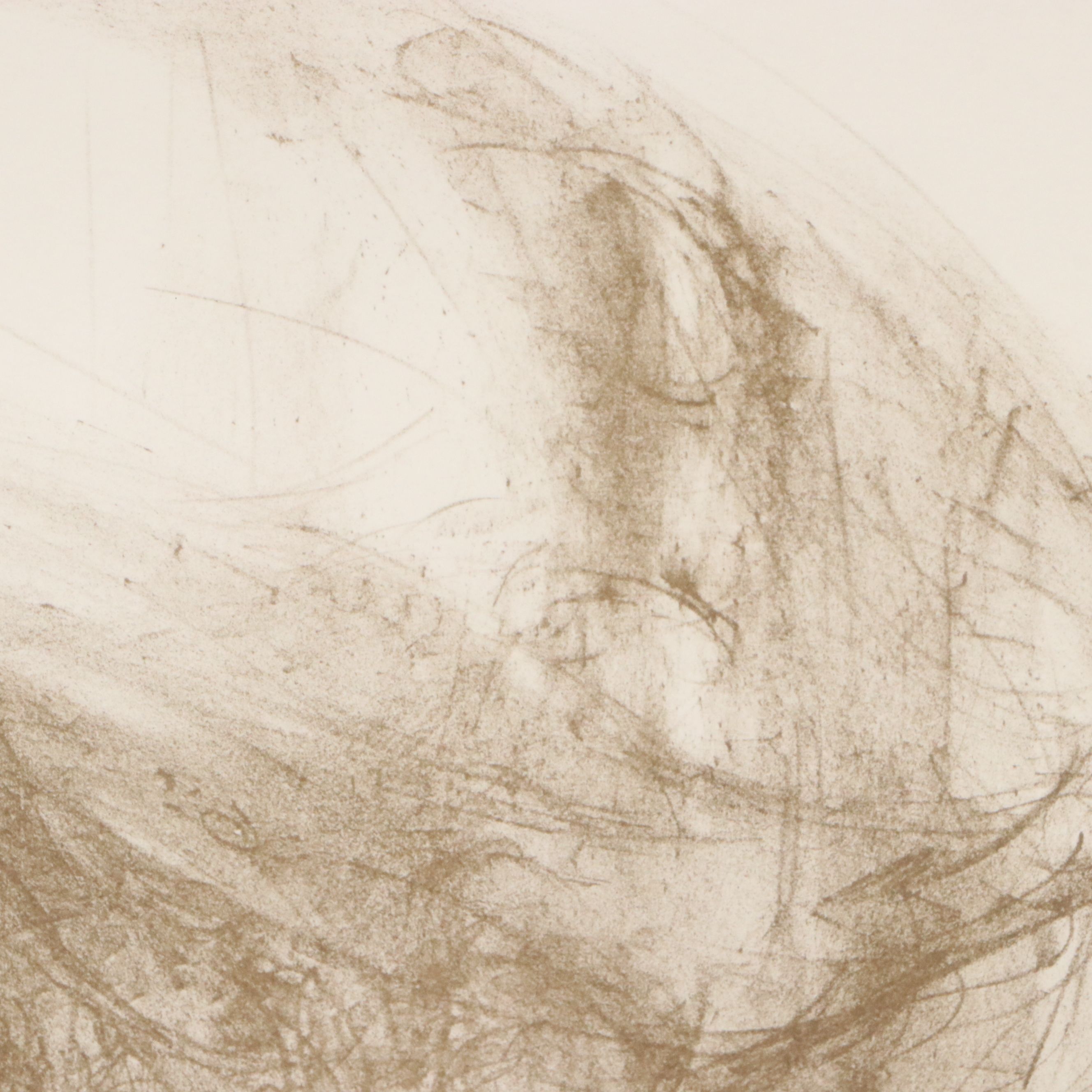 Edna Hibel Plotkin Portrait Lithograph "Bearded Man"