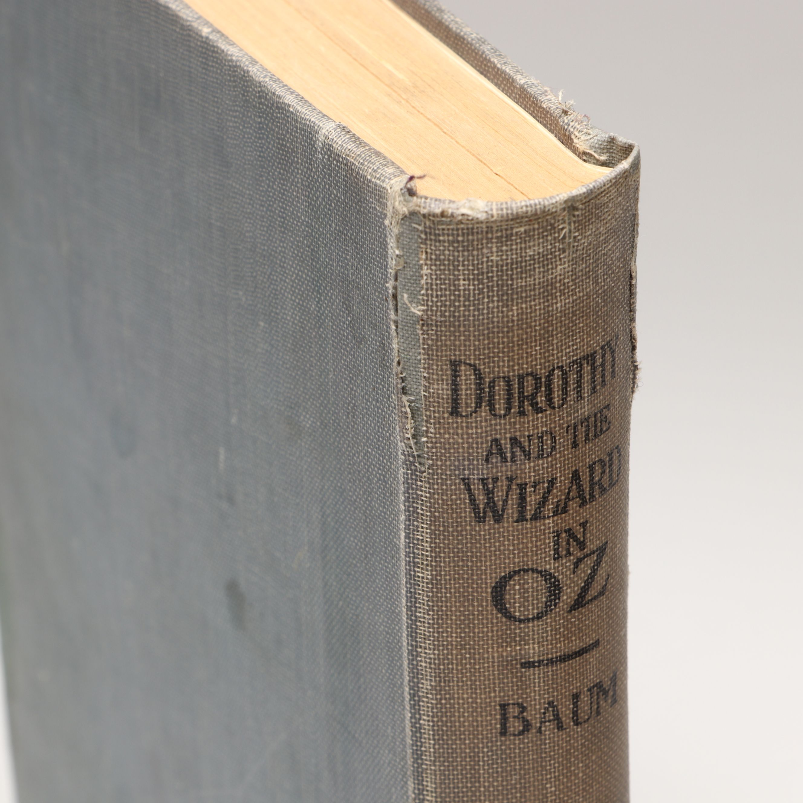 "Dorothy and the Wizard in Oz" by L. Frank Baum with More Oz Books