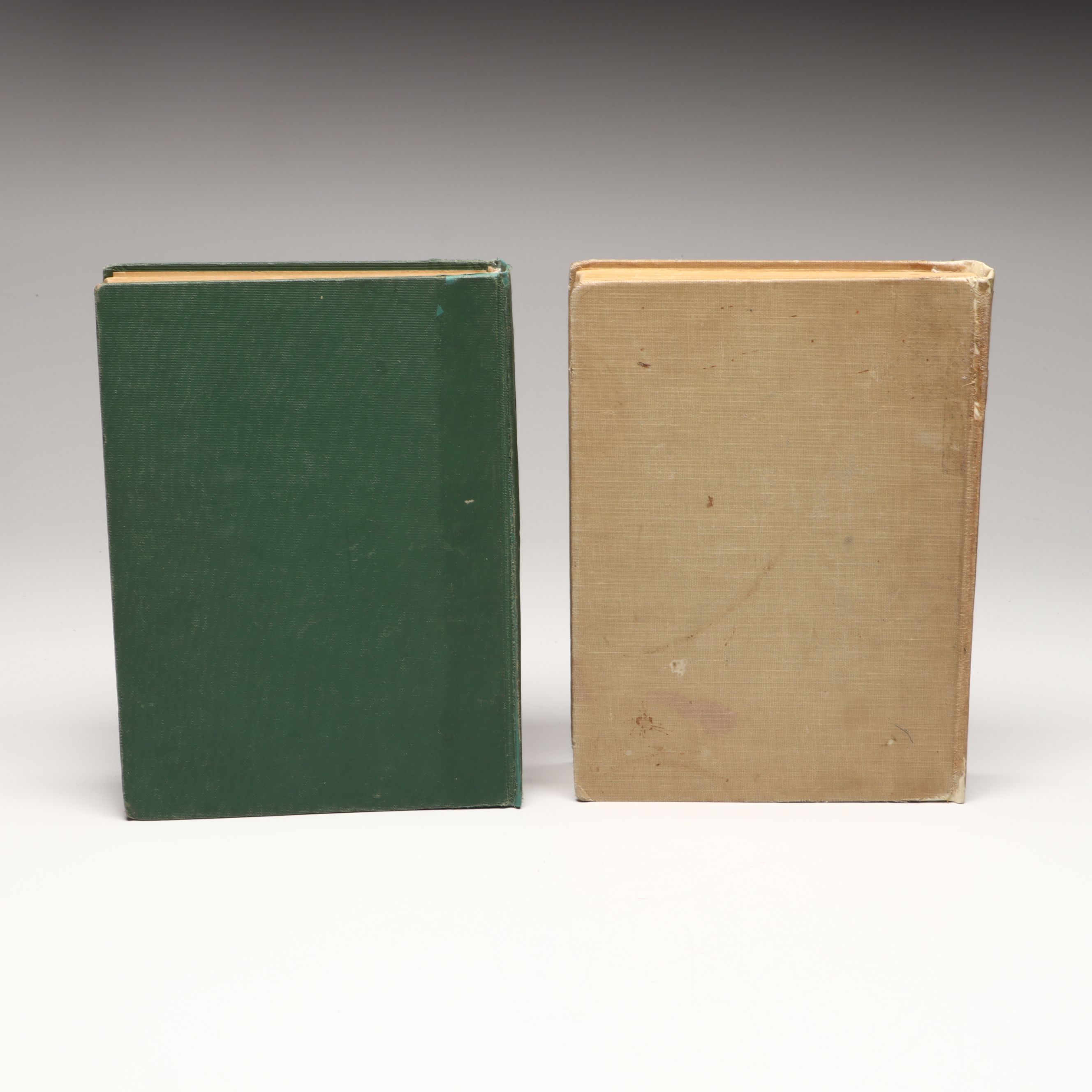 "Dorothy and the Wizard in Oz" by L. Frank Baum with More Oz Books