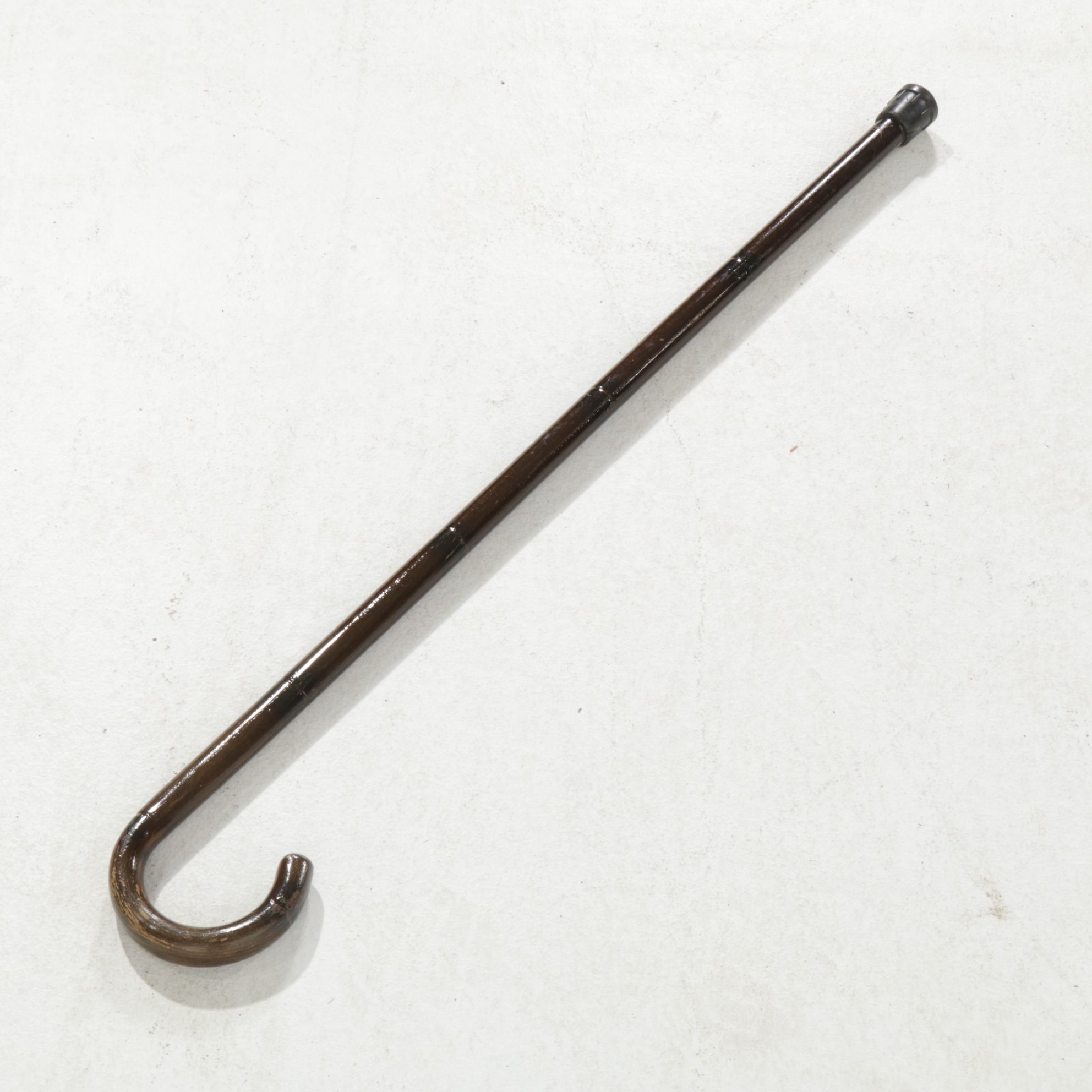 Bentwood Cane, Mid to Late 20th Century