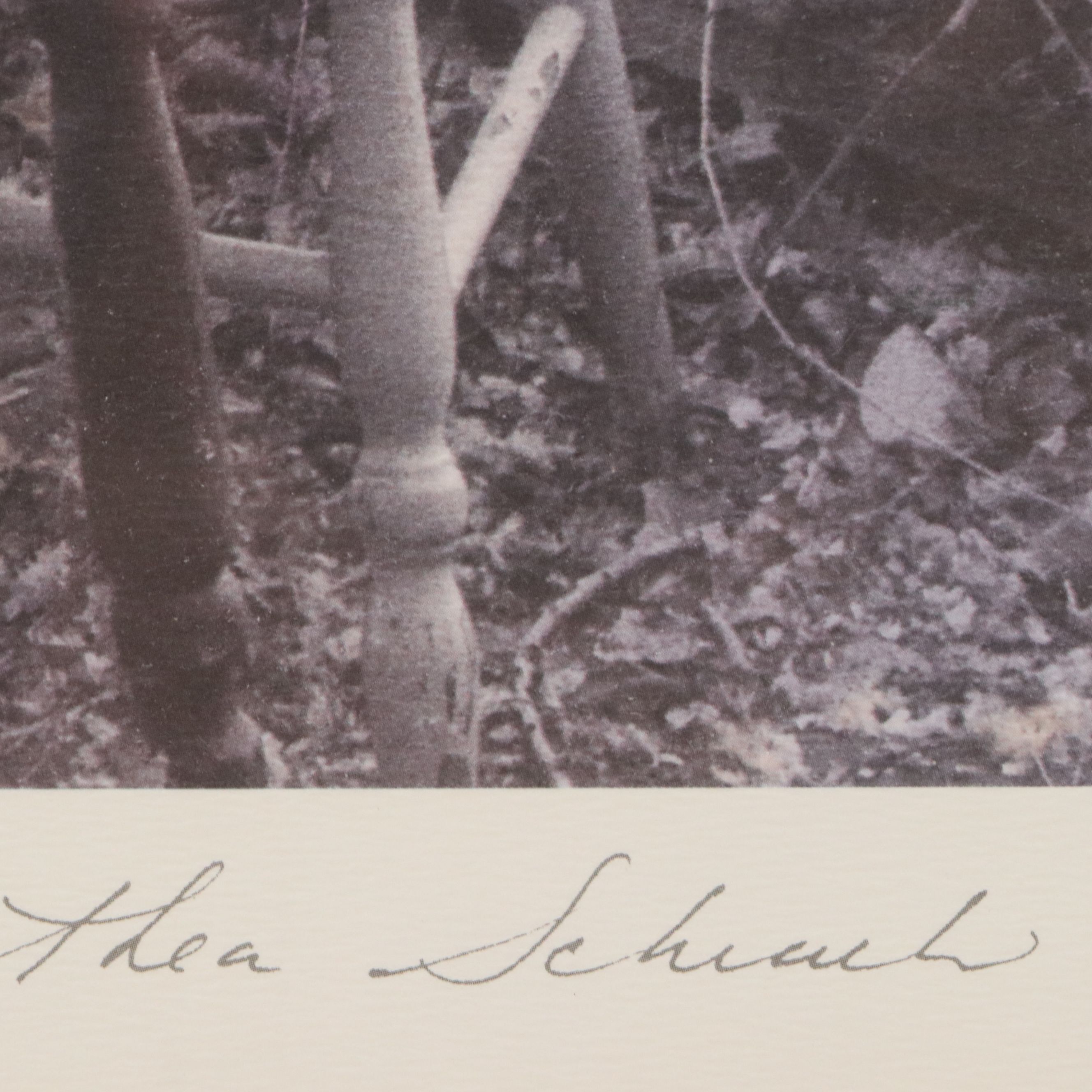 Thea Schrack Offset Lithograph "The Mirador," Late 20th Century