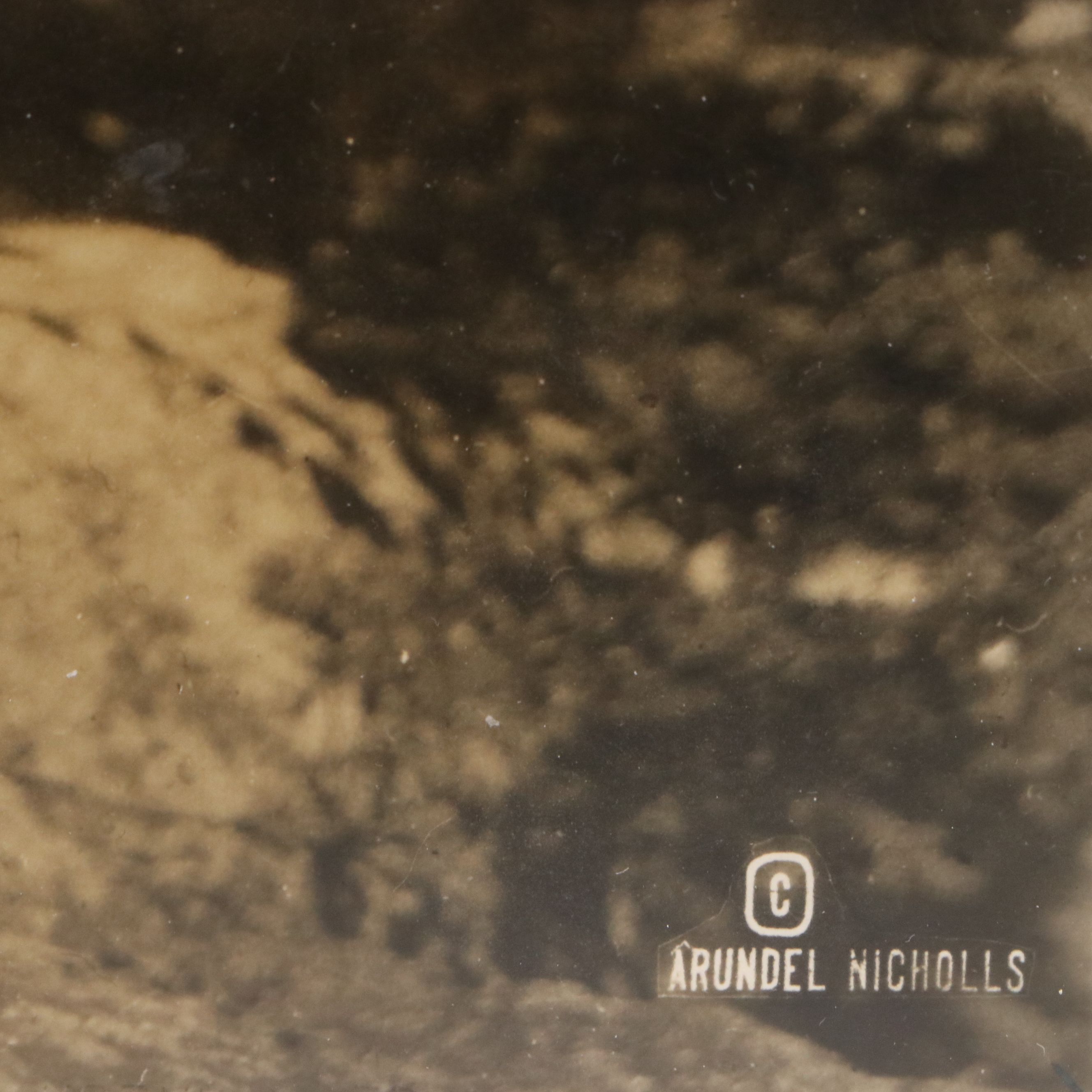 Arundel Holmes Nicholls Silver Gelatin Photograph of Nude Woman, Early 20th C.