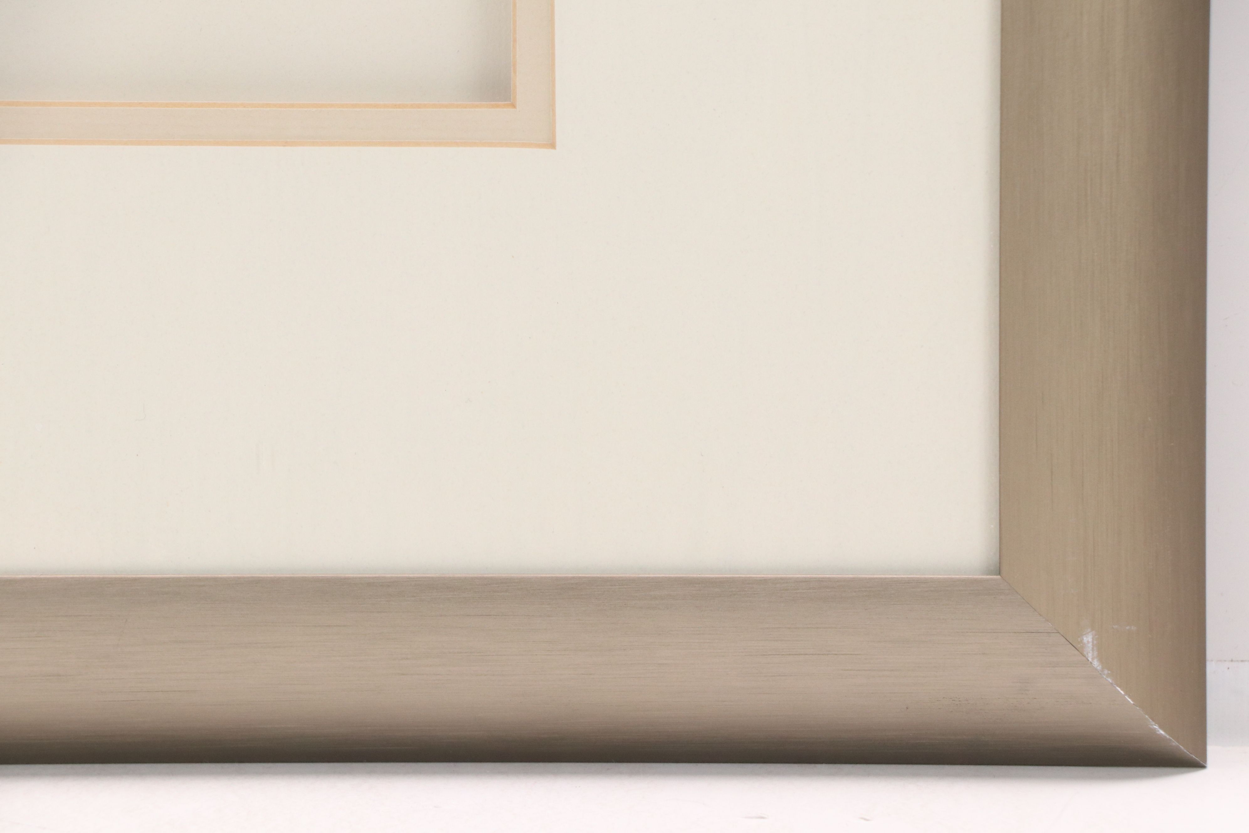 Botanical Specimen of Chinaberry Tree "Lilas de Perse"