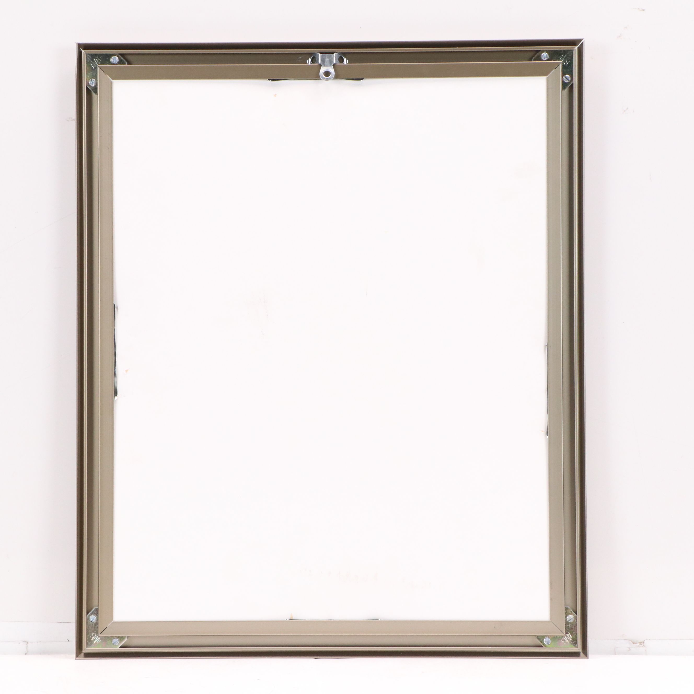 Botanical Specimen of Chinaberry Tree "Lilas de Perse"