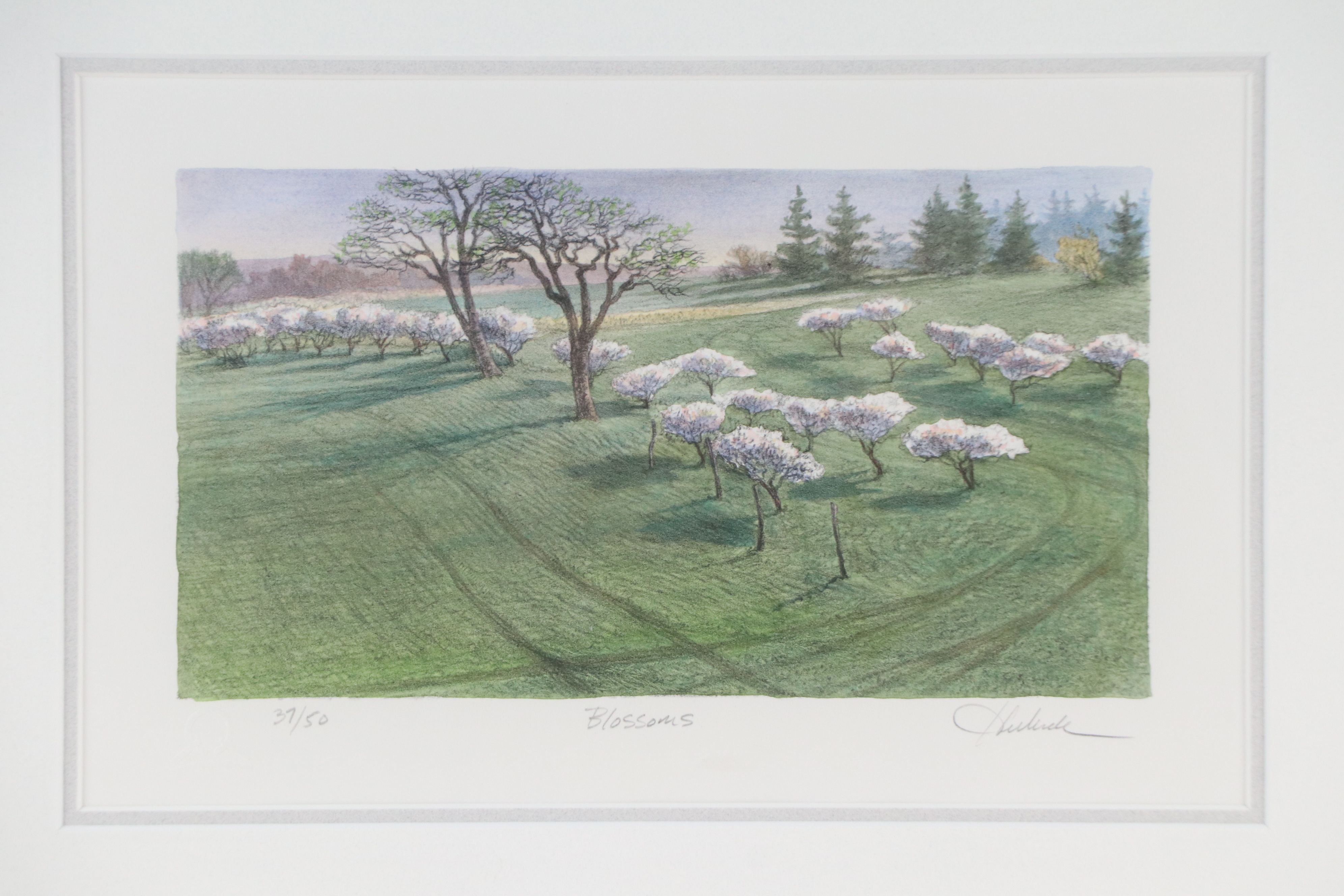 Hand-Colored Lithograph "Blossoms"
