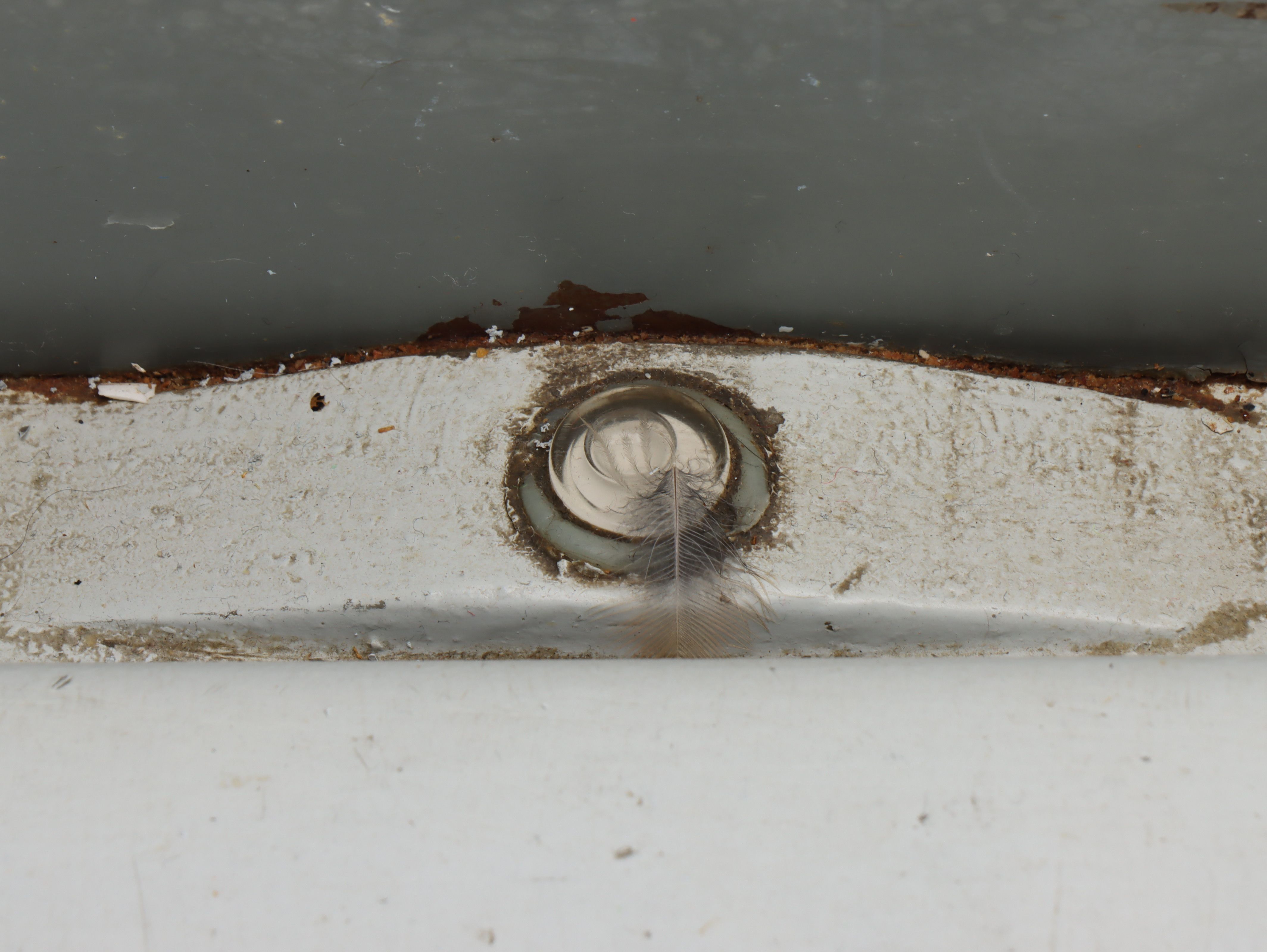 Hobart 50 Pound-Capacity Metal Analog Dial Scale