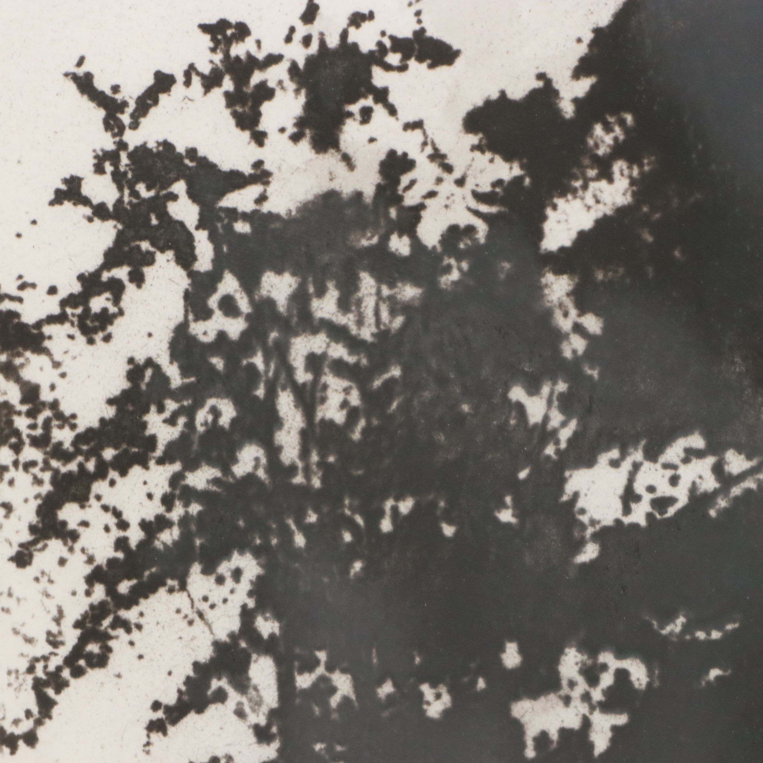 Norman Ackroyd Aquatint "Still Water," 1982