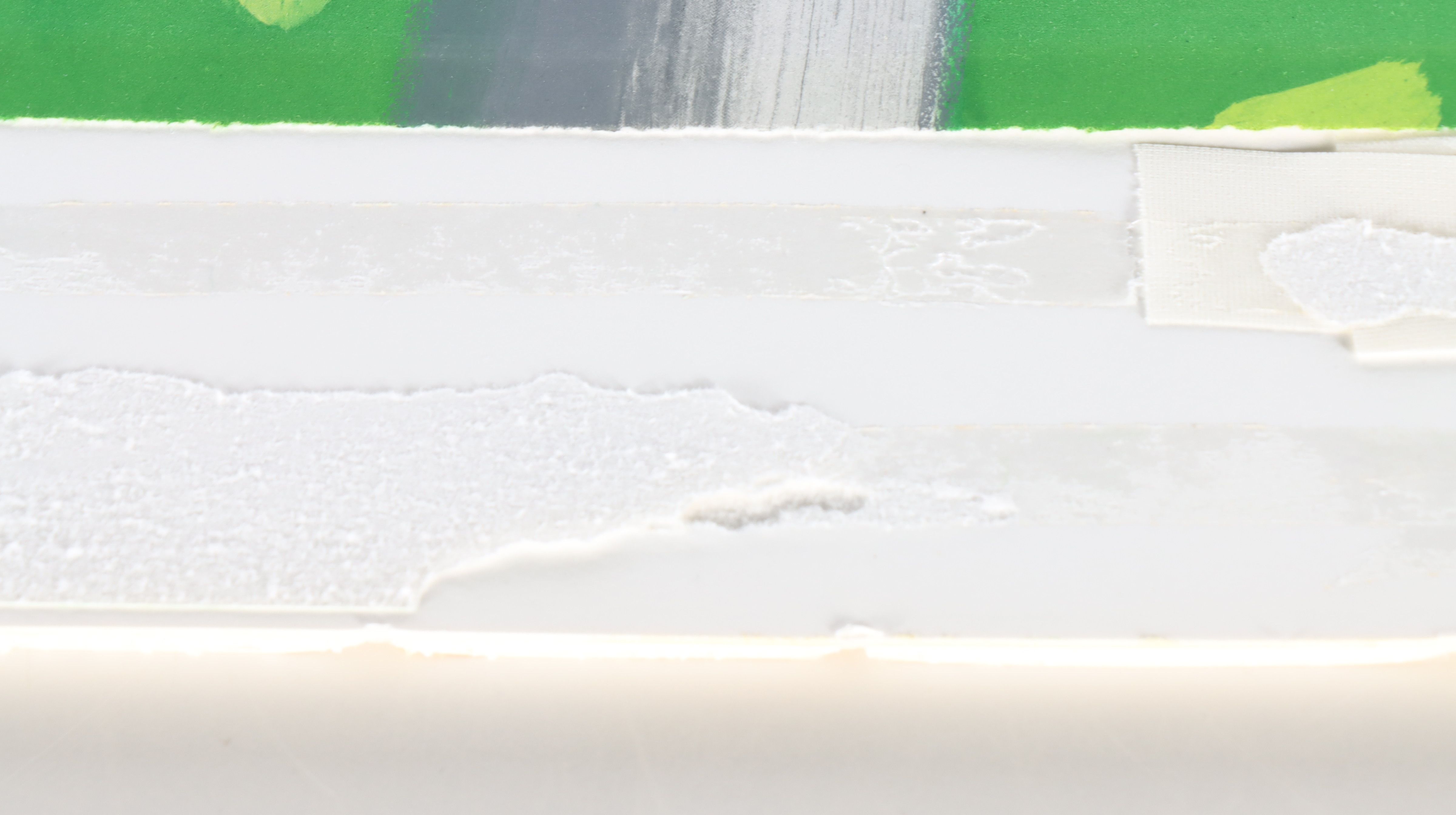 Alex Katz Aquatint "Forest," 1992