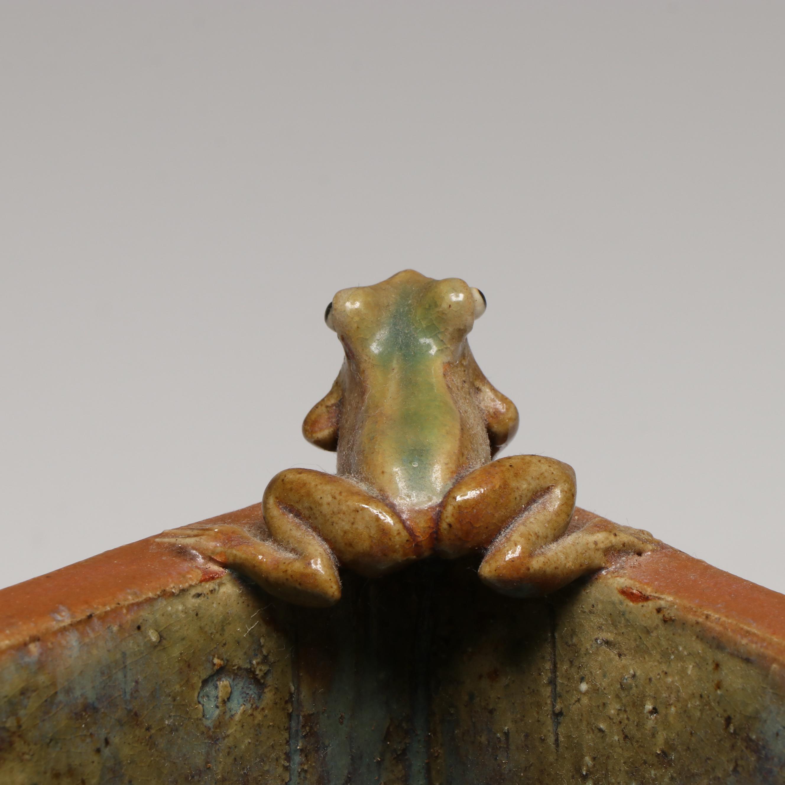Chinese Majolica Frog Footed Planter, Leaf Tray and Teapot