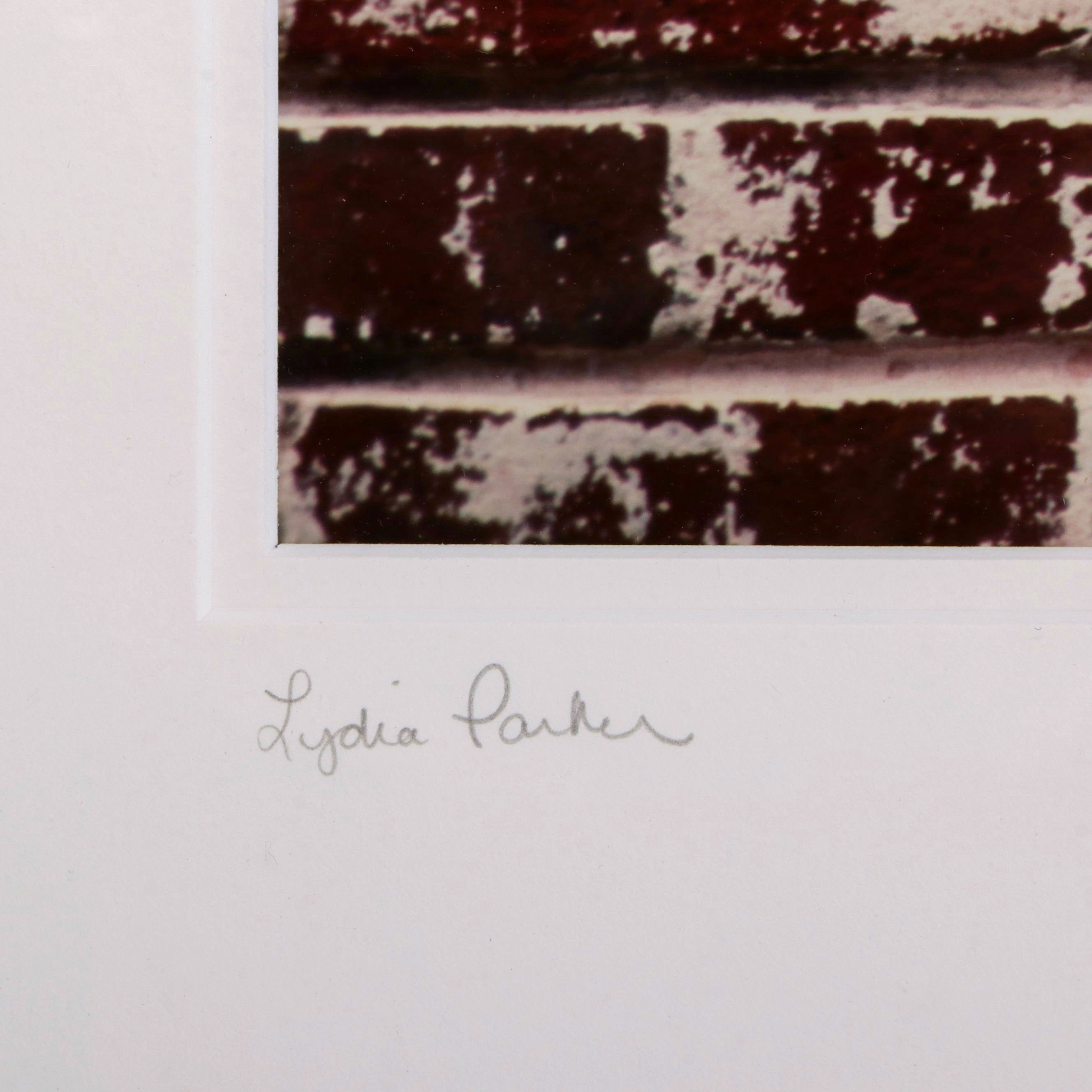 Lydia Parker Color Photographic Print of Lantern and Mailbox