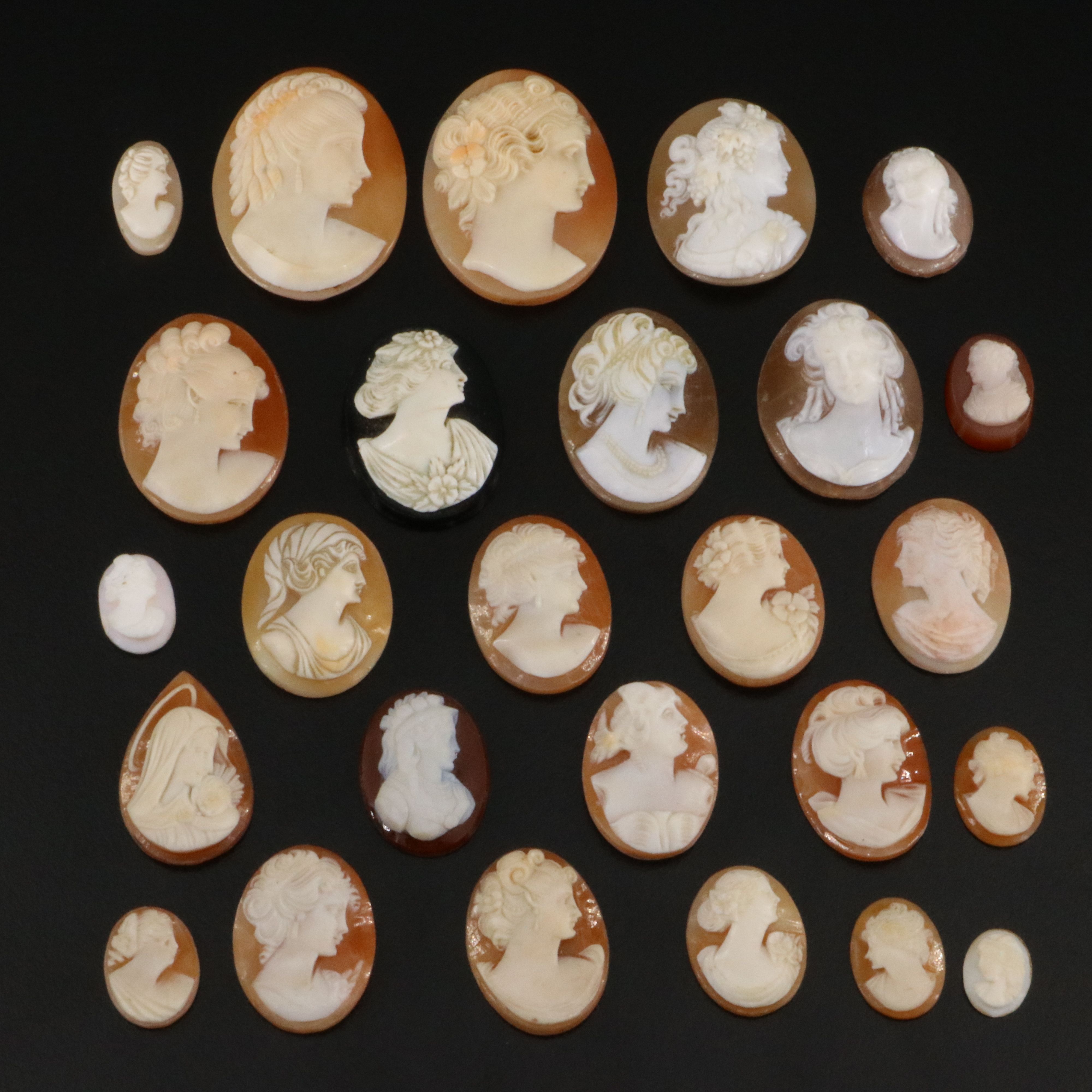 Loose Cameo Lot Including Shell, Sardonyx and Black Onyx