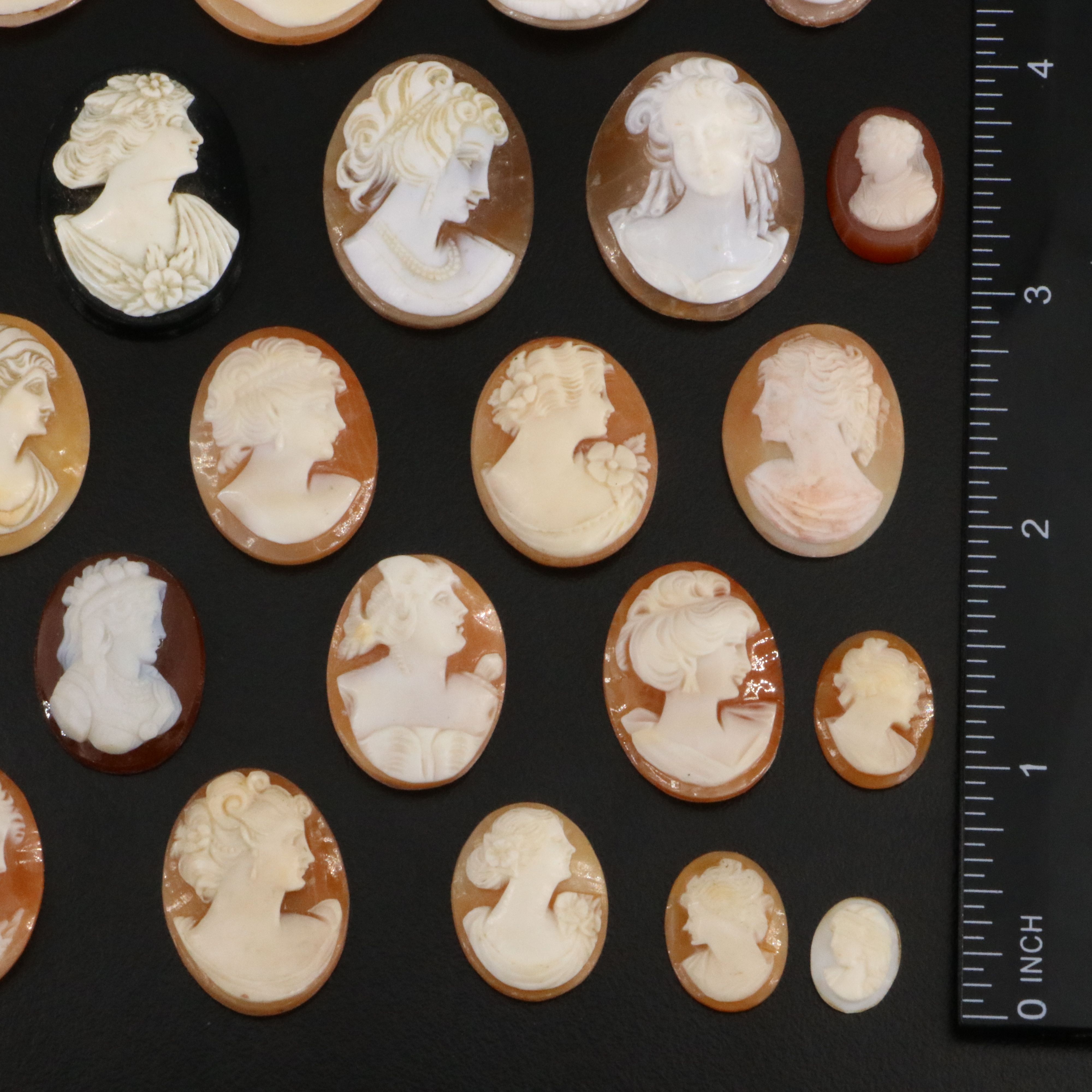 Loose Cameo Lot Including Shell, Sardonyx and Black Onyx