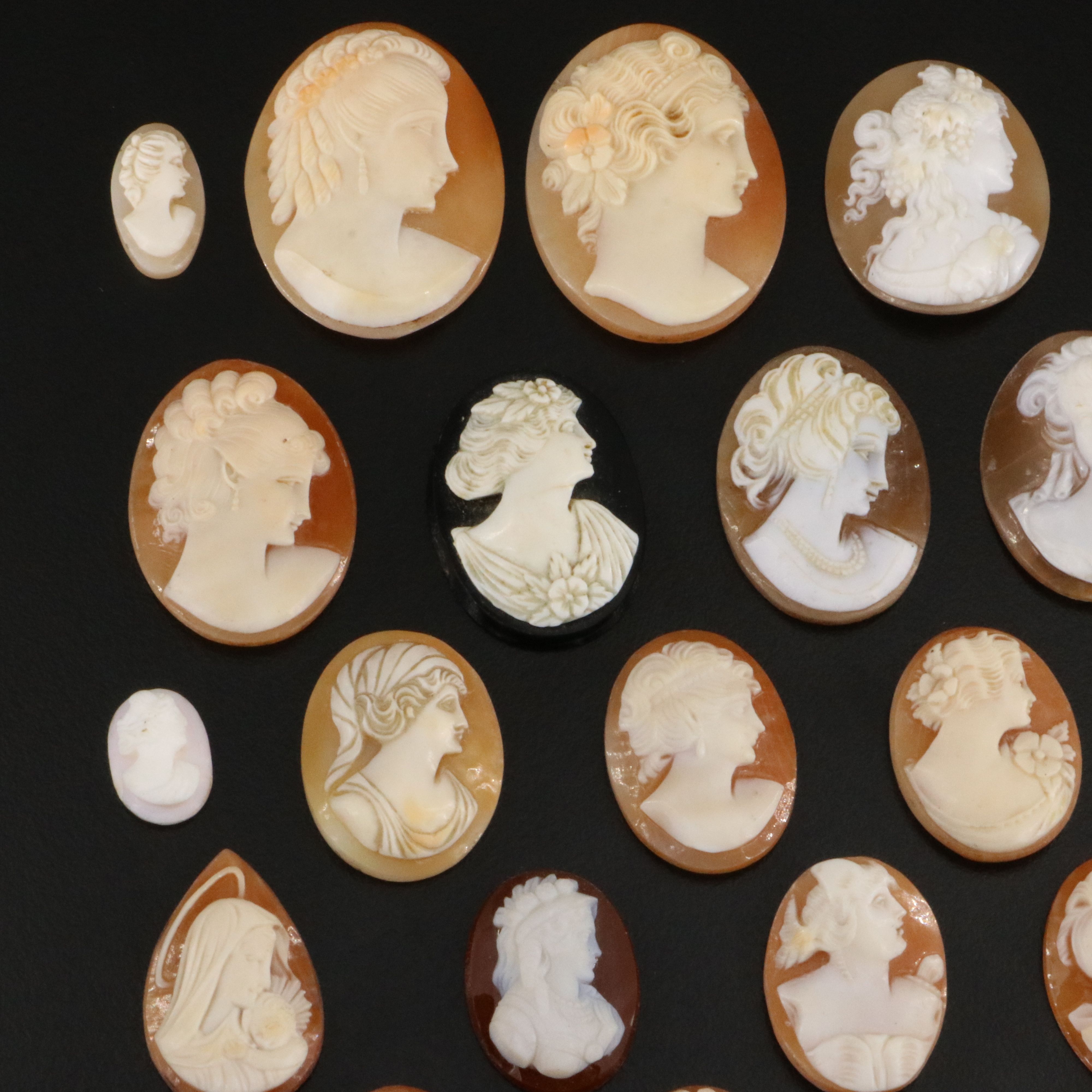 Loose Cameo Lot Including Shell, Sardonyx and Black Onyx