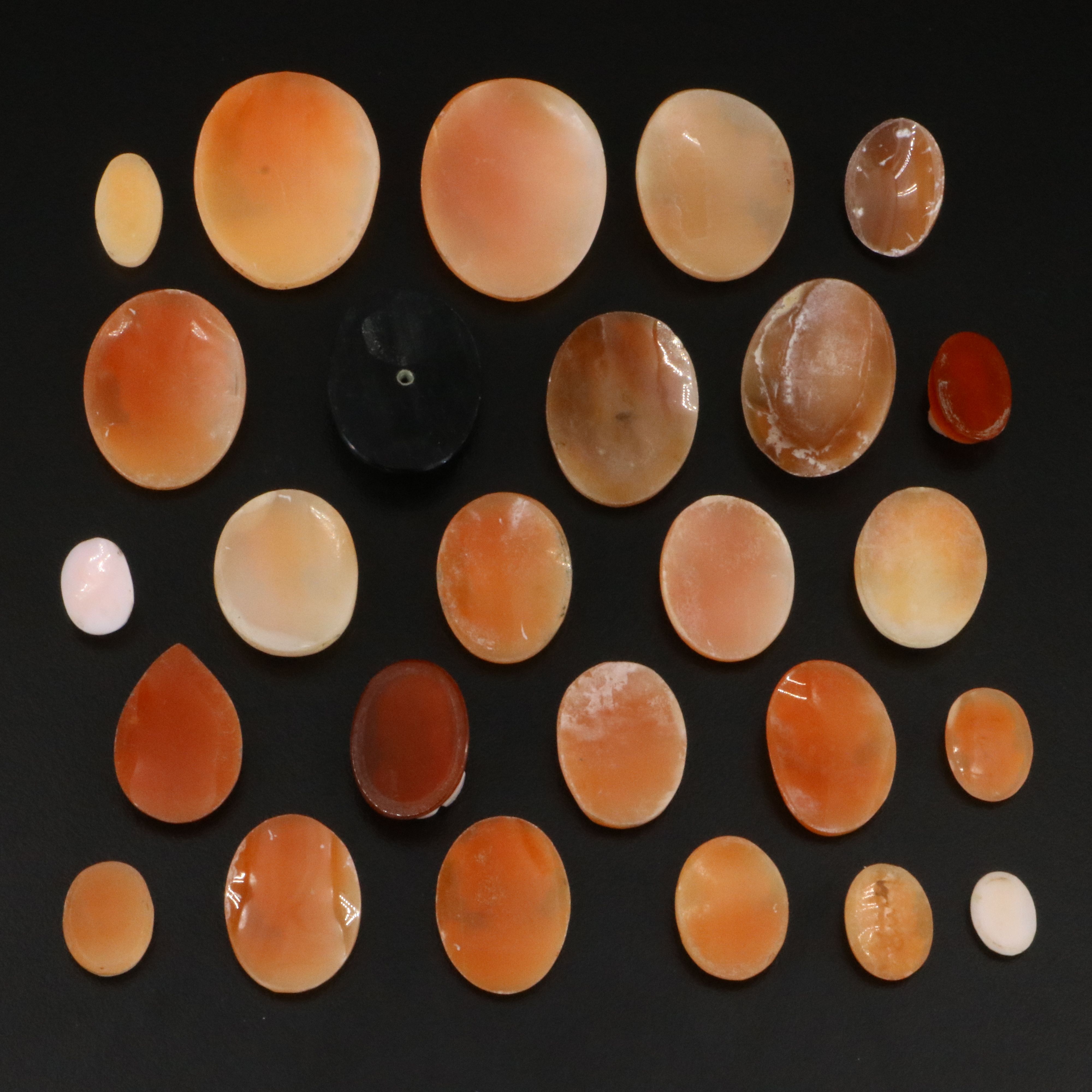 Loose Cameo Lot Including Shell, Sardonyx and Black Onyx
