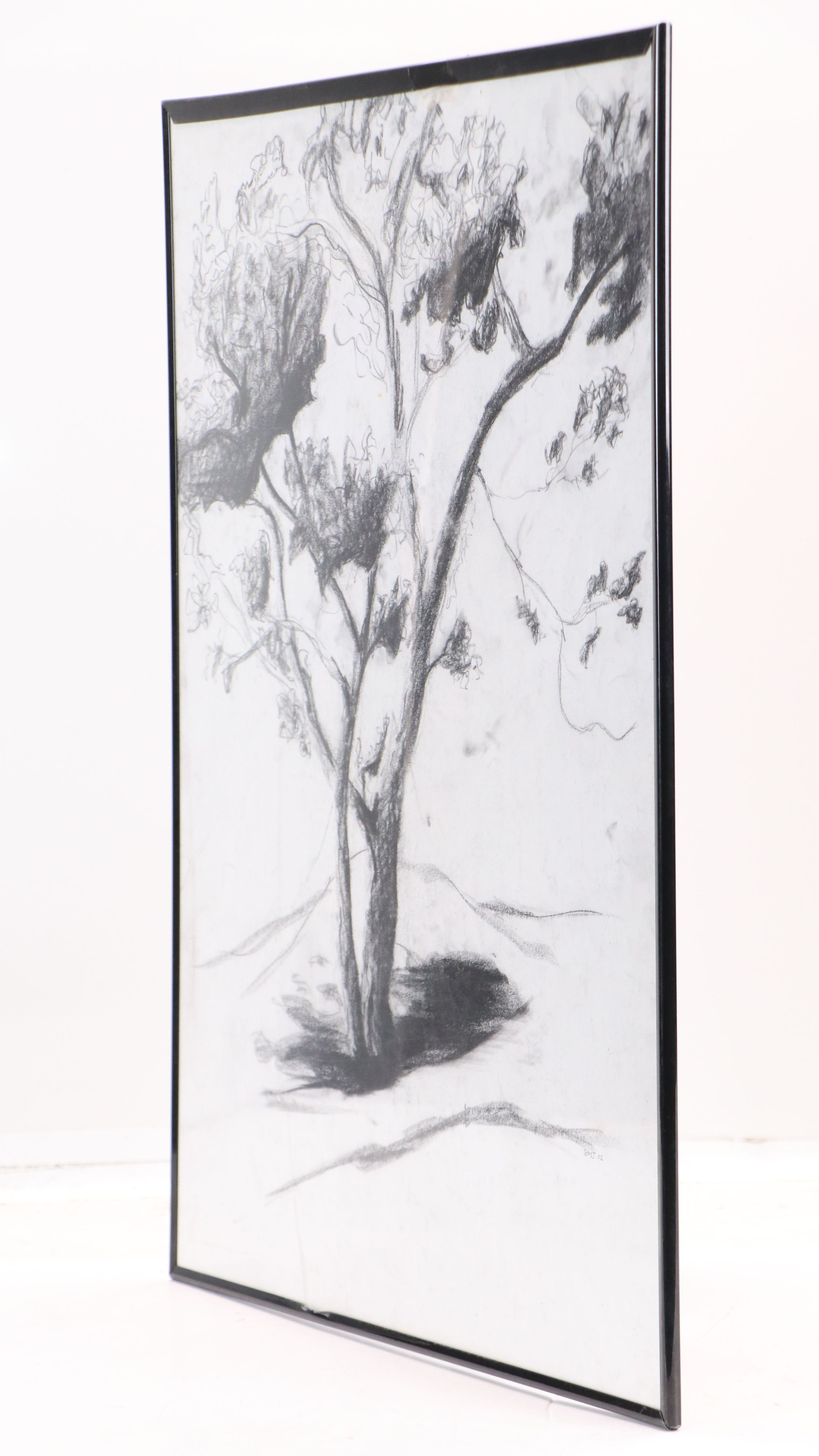 Charcoal Sketch of Tree, 2002