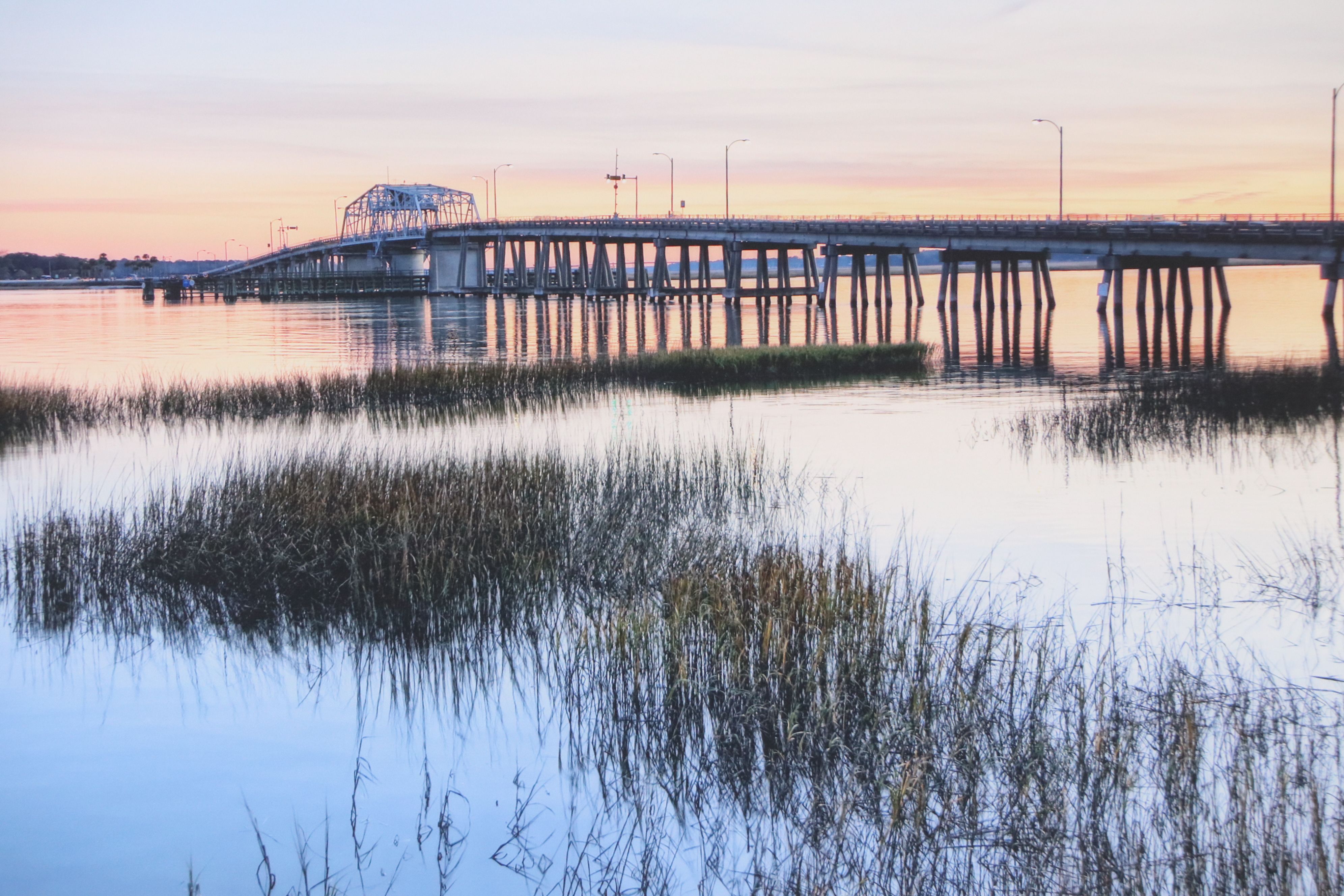 Digital Print of Landscape in Beaufort, South Carolina, 21st Century
