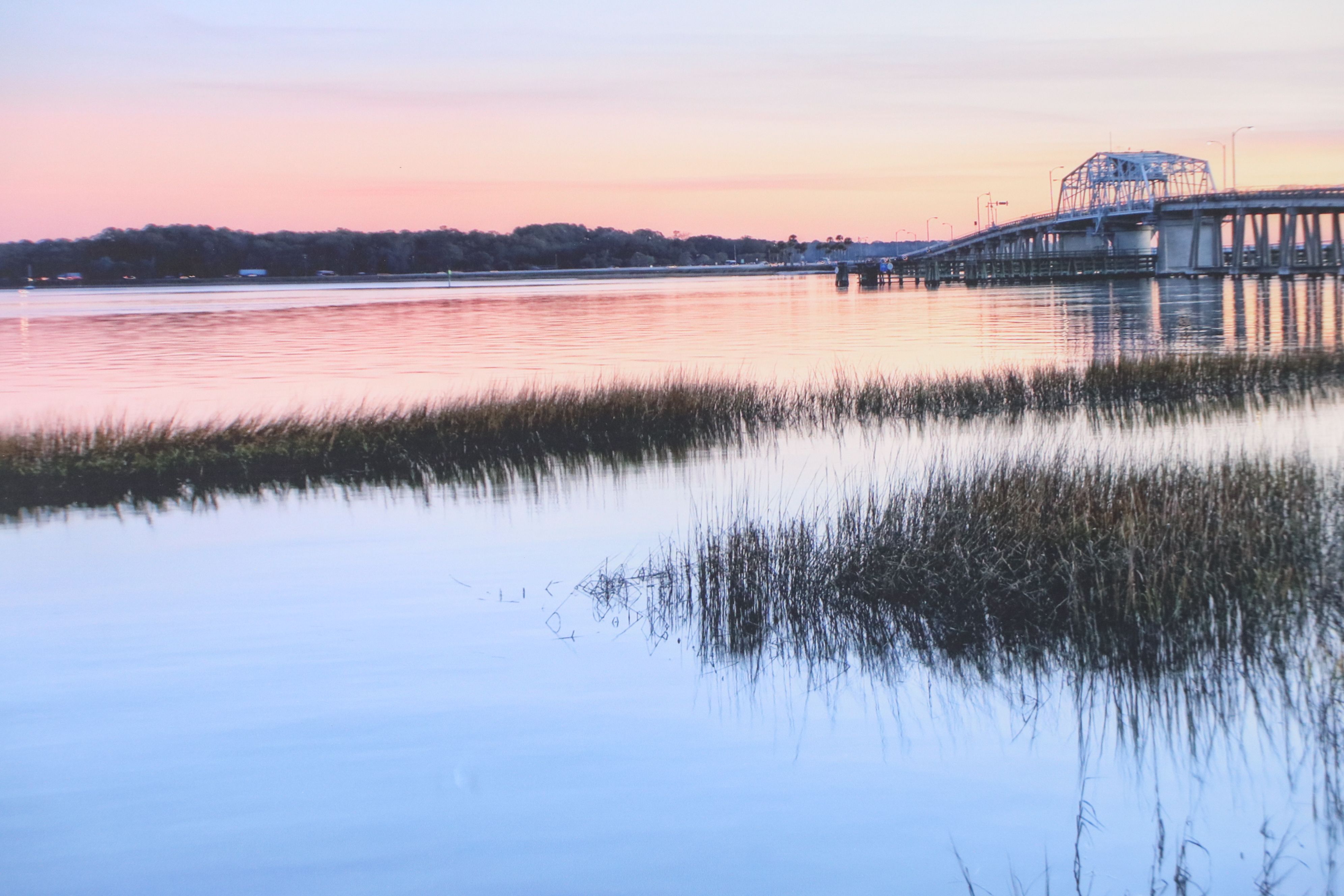 Digital Print of Landscape in Beaufort, South Carolina, 21st Century