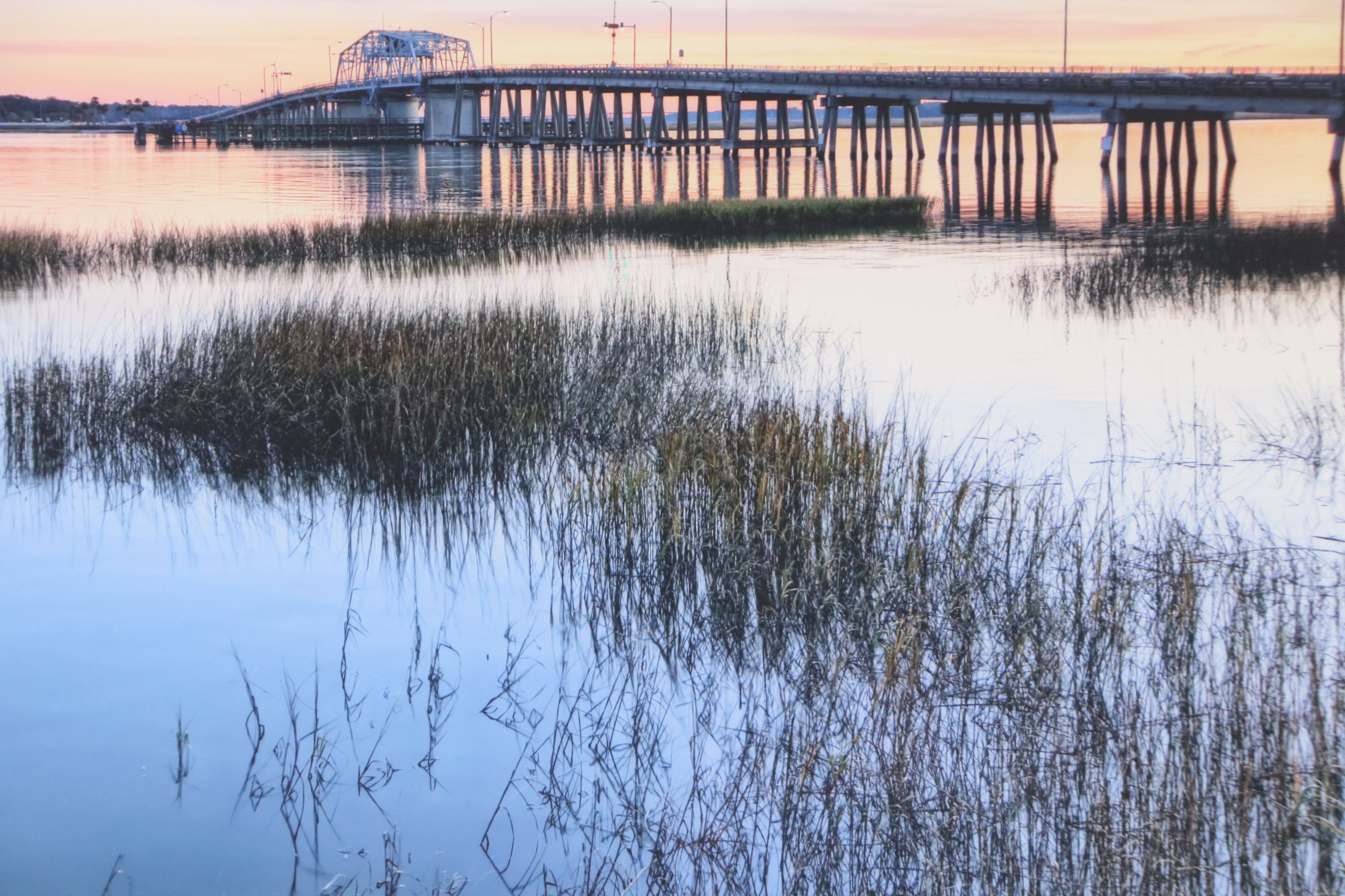Digital Print of Landscape in Beaufort, South Carolina, 21st Century