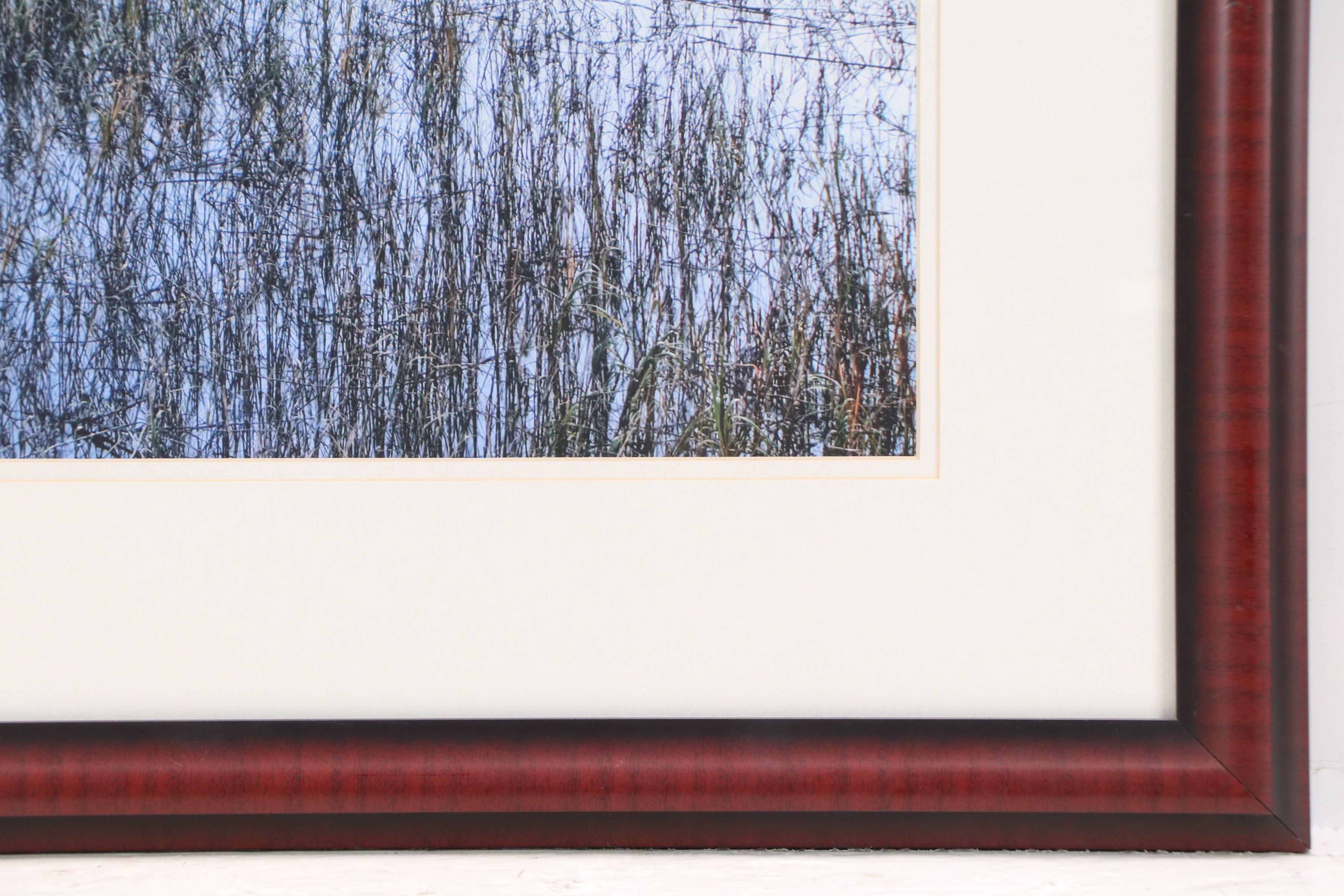 Digital Print of Landscape in Beaufort, South Carolina, 21st Century