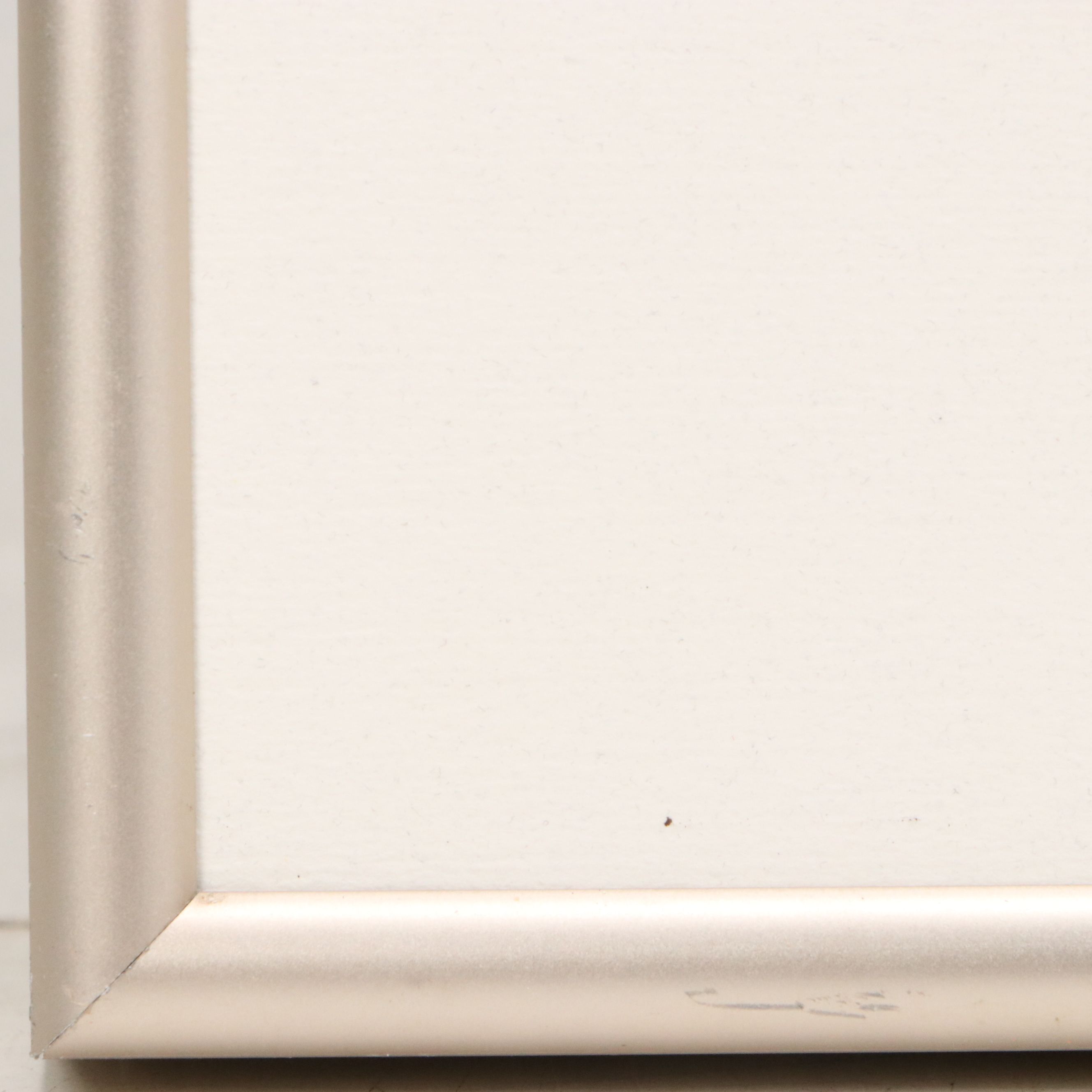 Robert Zhang Offset Lithograph "Paradise Garden," Late 20th Century