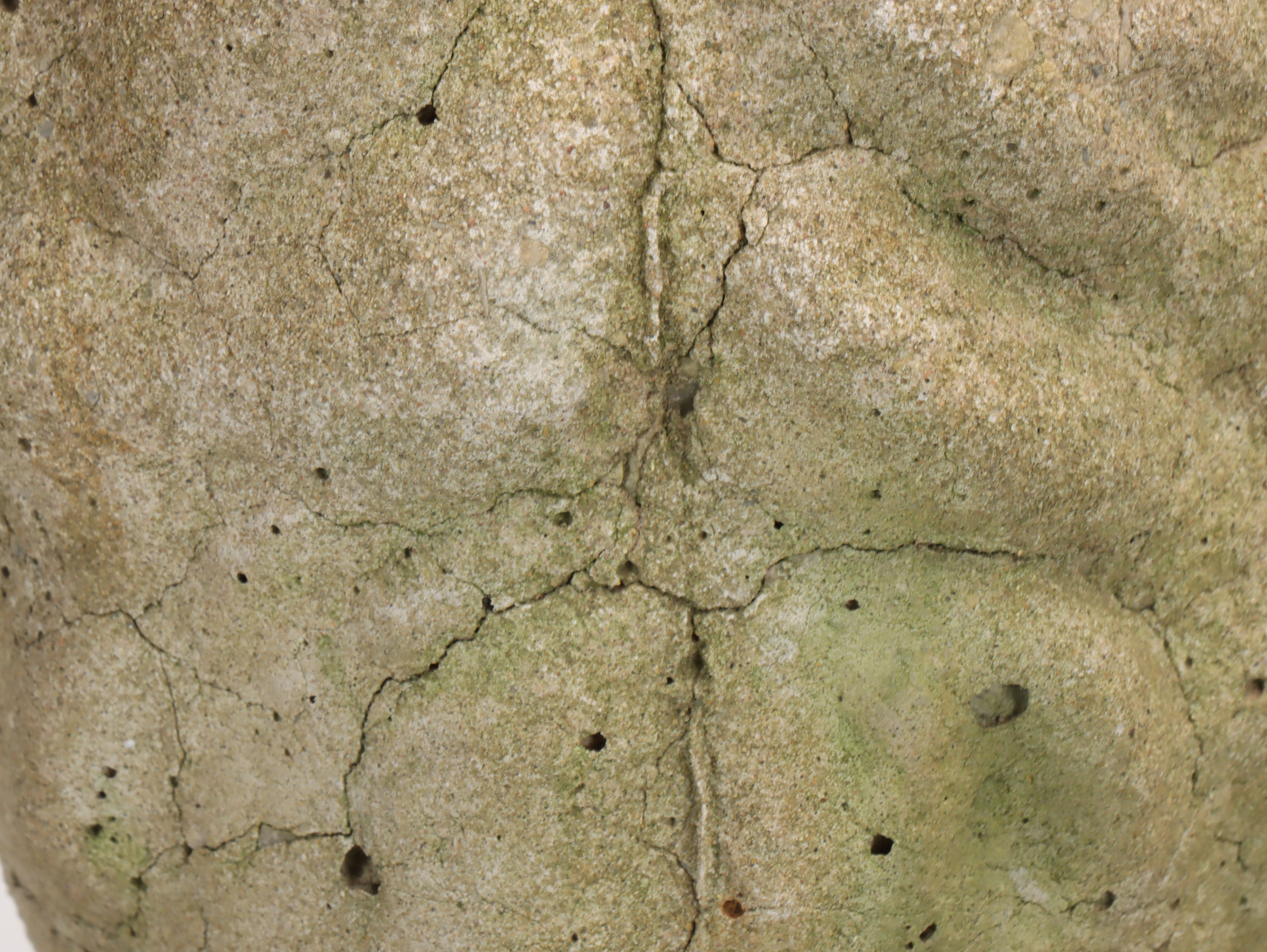 Armorial Lion Cast Concrete Garden Statues