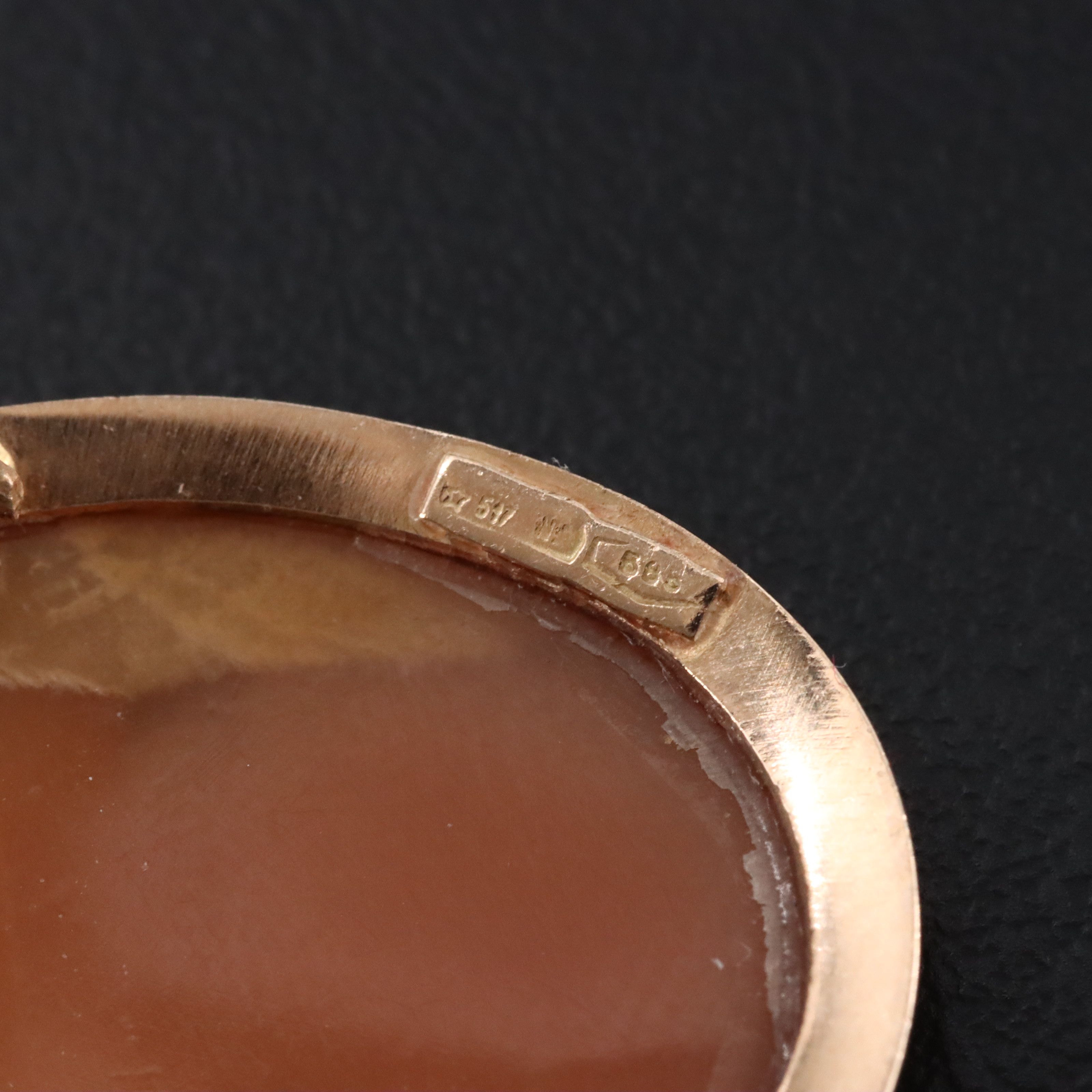 14K Shell Cameo Converter Brooch