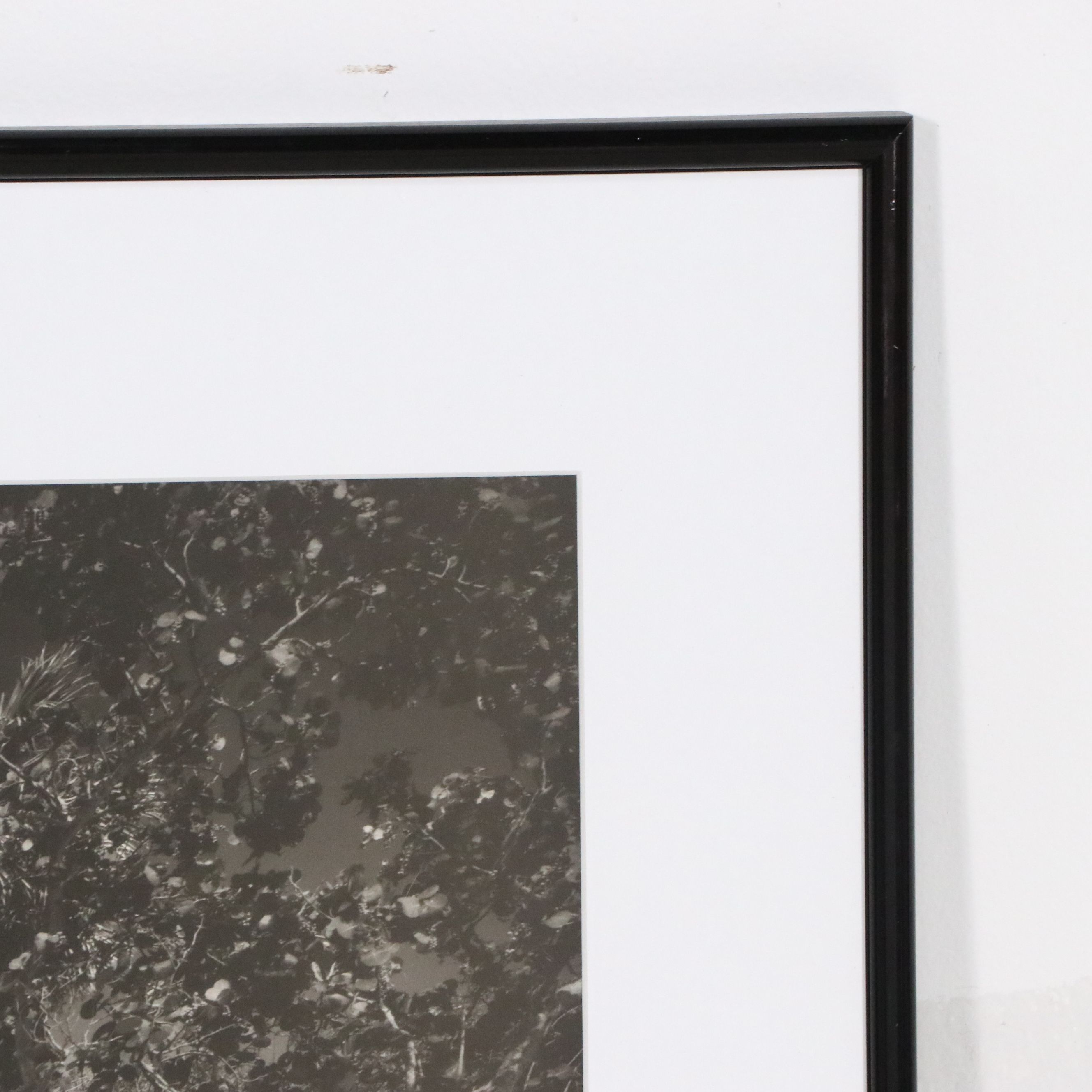 Clyde Butcher Offset Lithograph "Cayo Costa Island 3," 1991