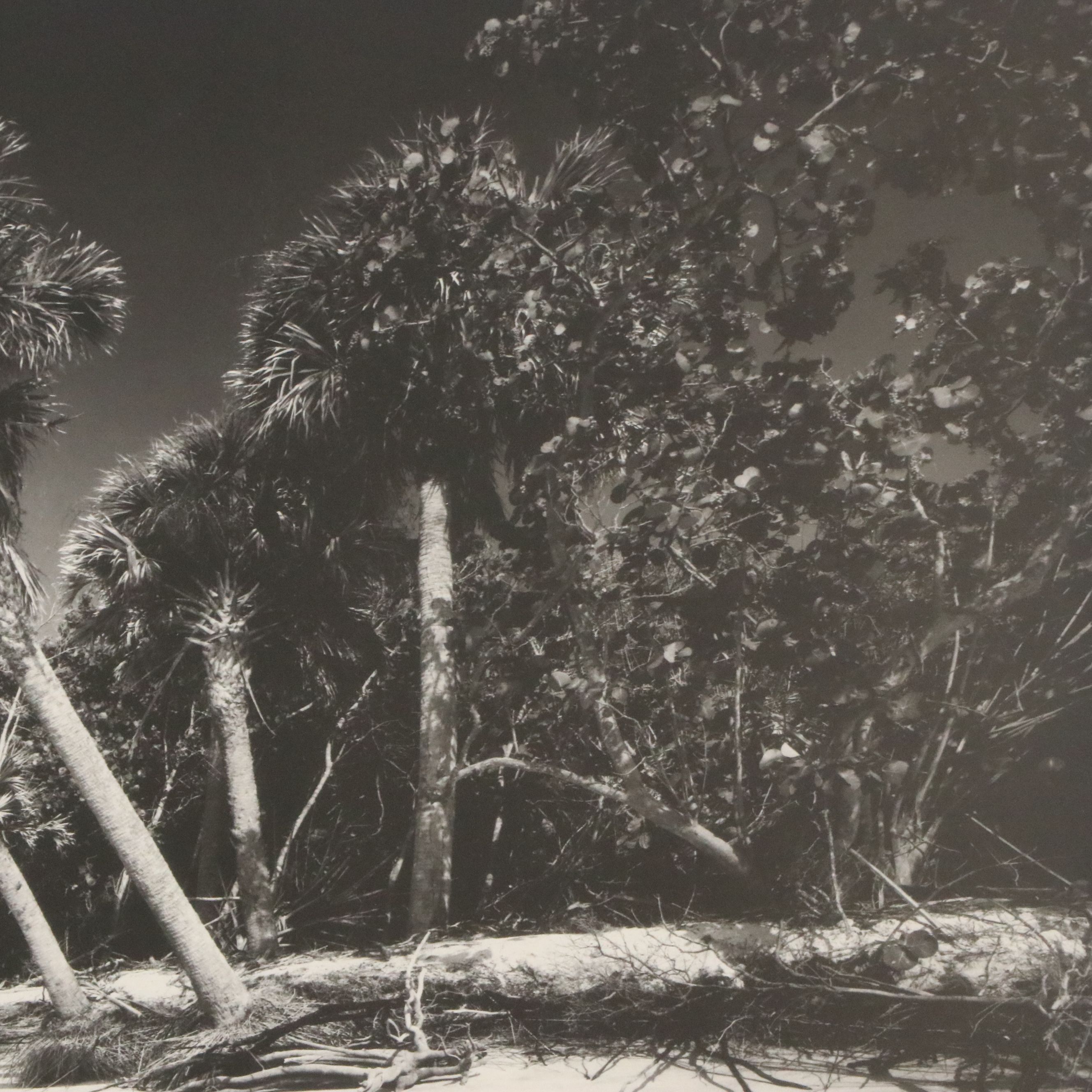 Clyde Butcher Offset Lithograph "Cayo Costa Island 3," 1991