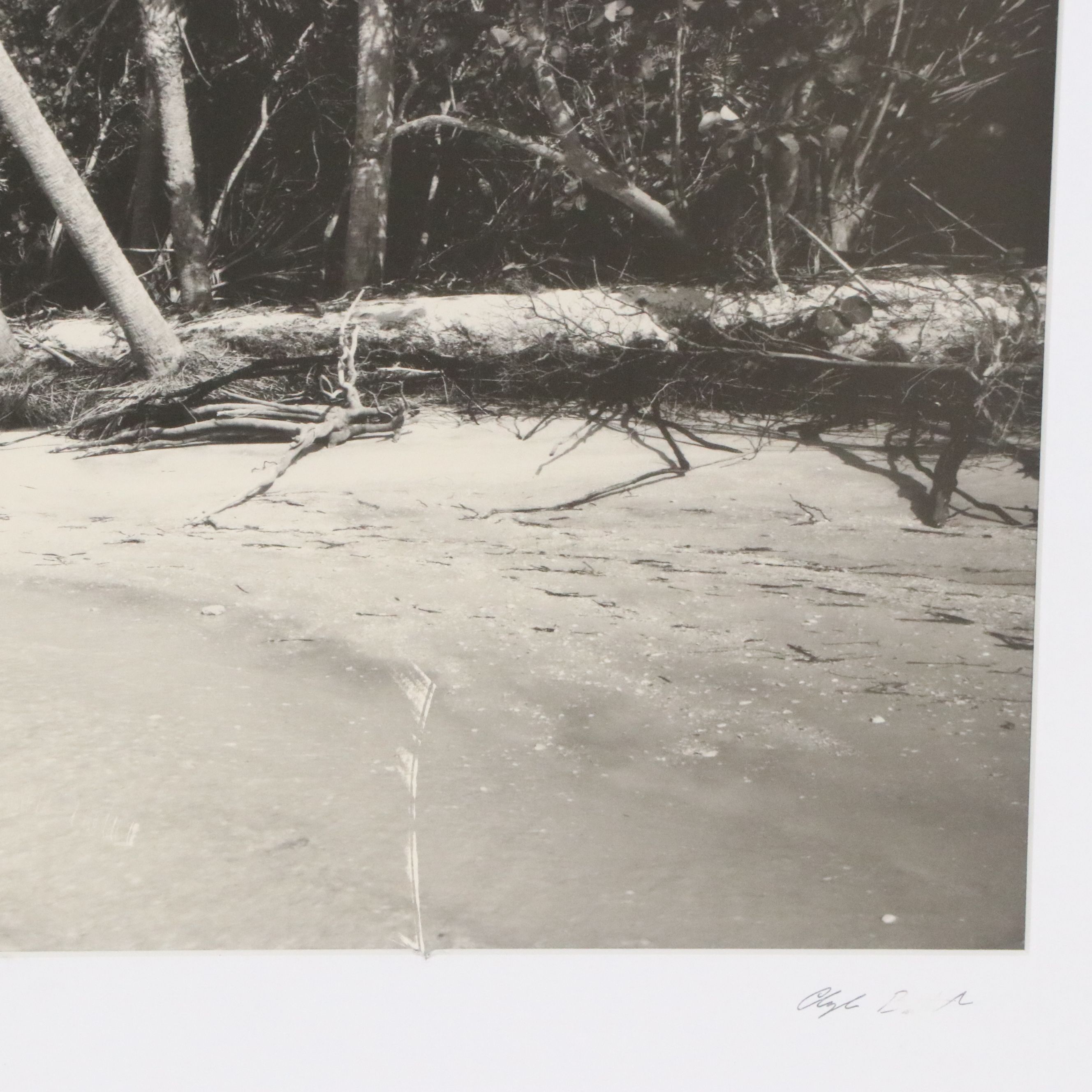 Clyde Butcher Offset Lithograph "Cayo Costa Island 3," 1991