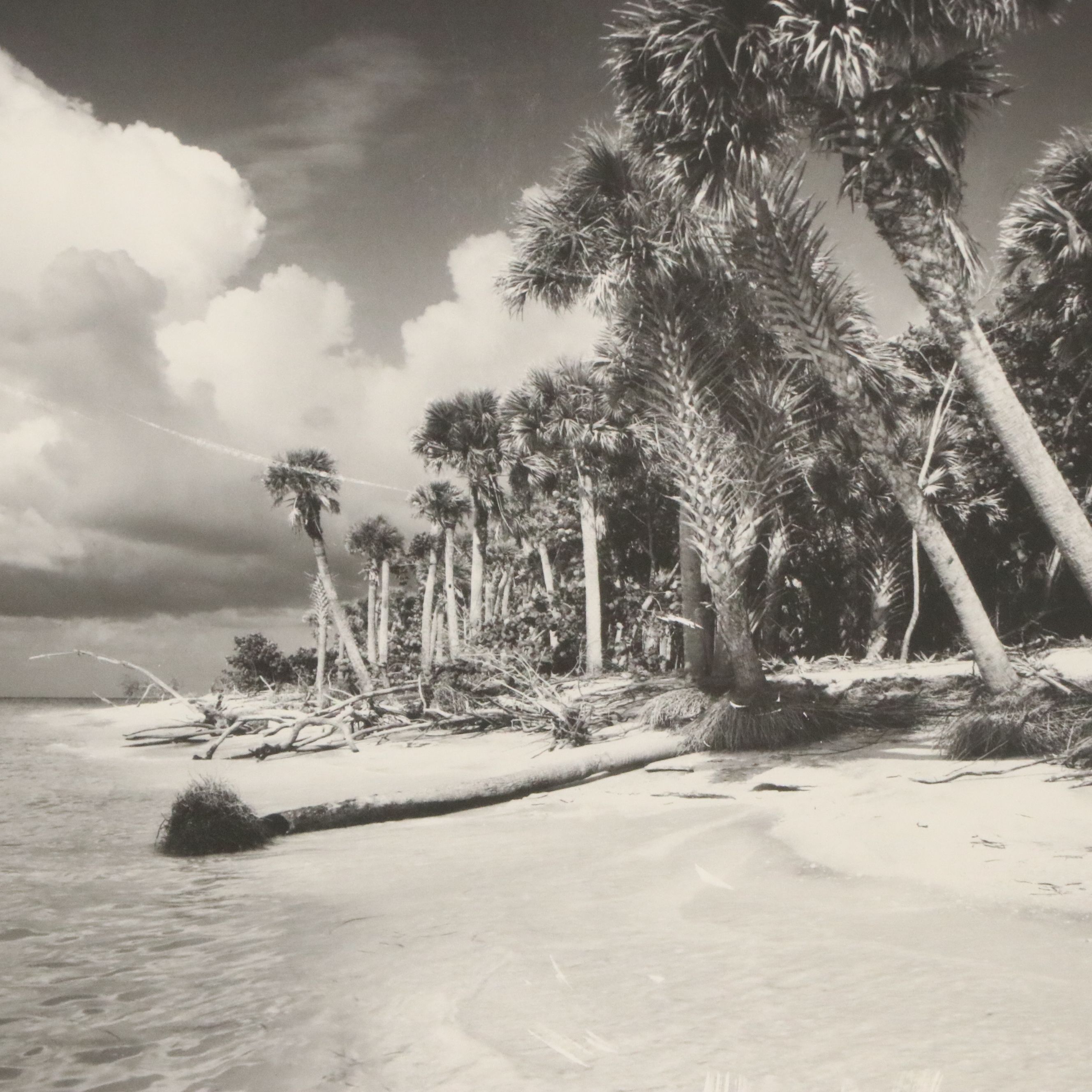 Clyde Butcher Offset Lithograph "Cayo Costa Island 3," 1991