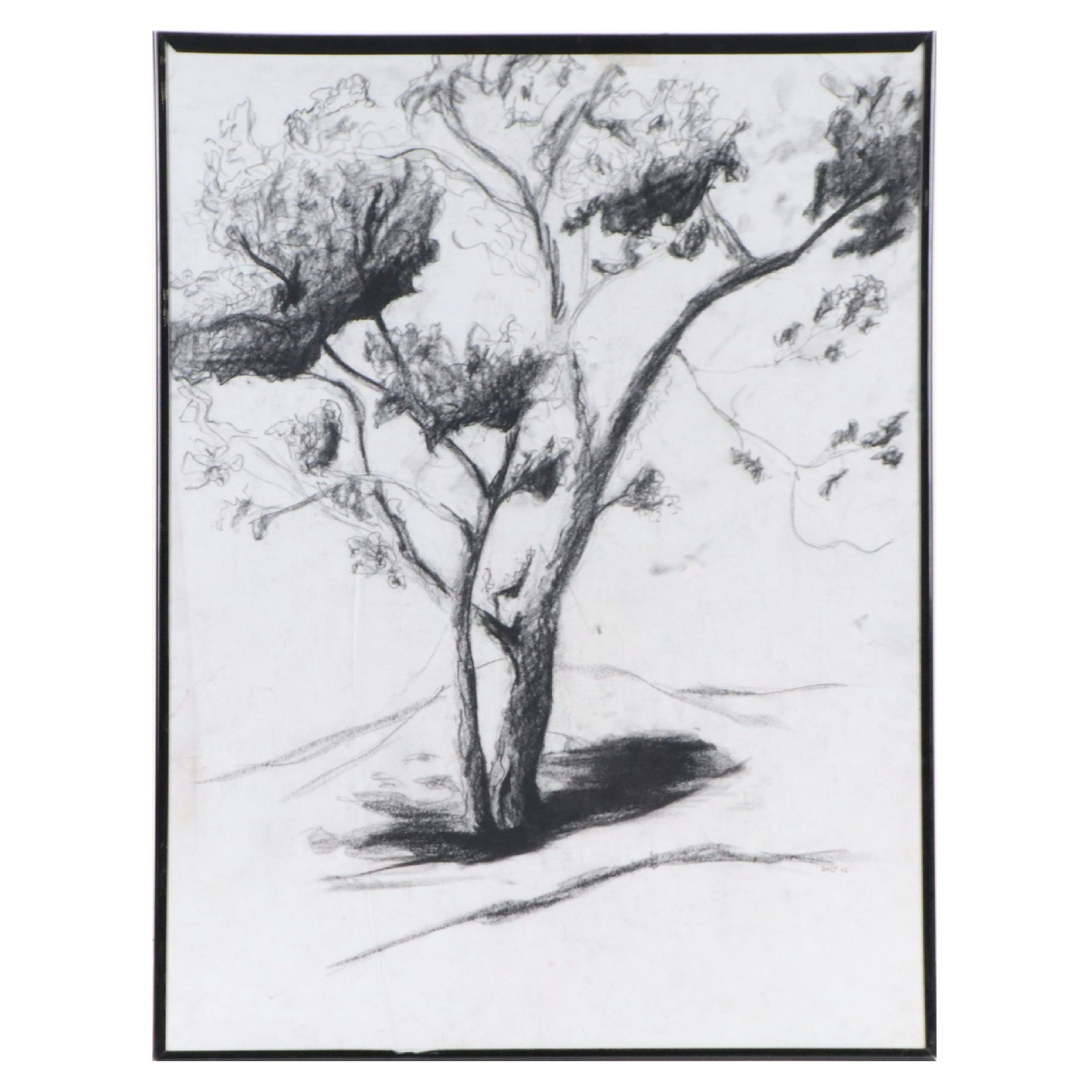 Charcoal Sketch of Tree, 2002