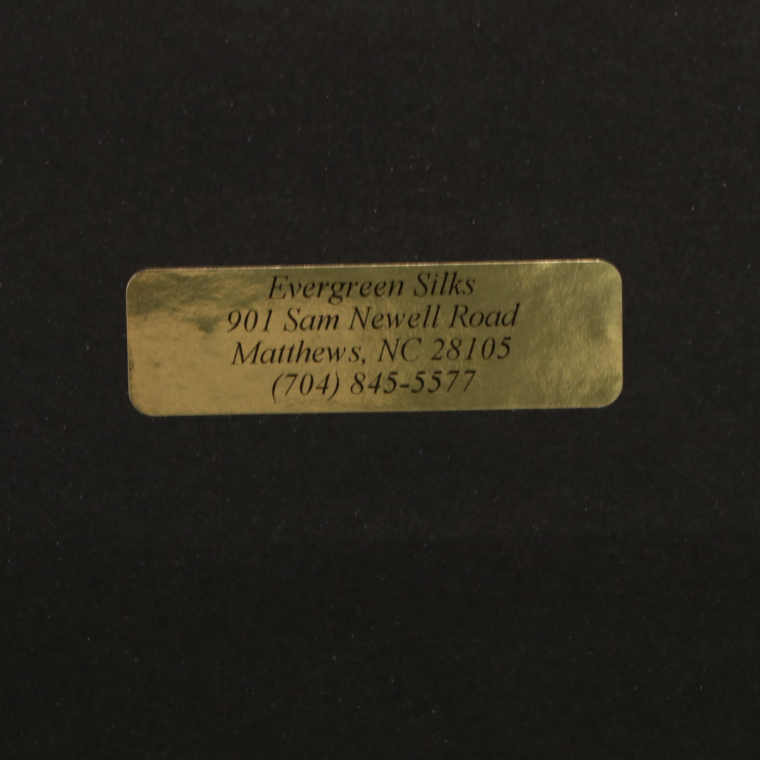 Southern Landscape Photographic Print with Spanish Moss Draped Tree