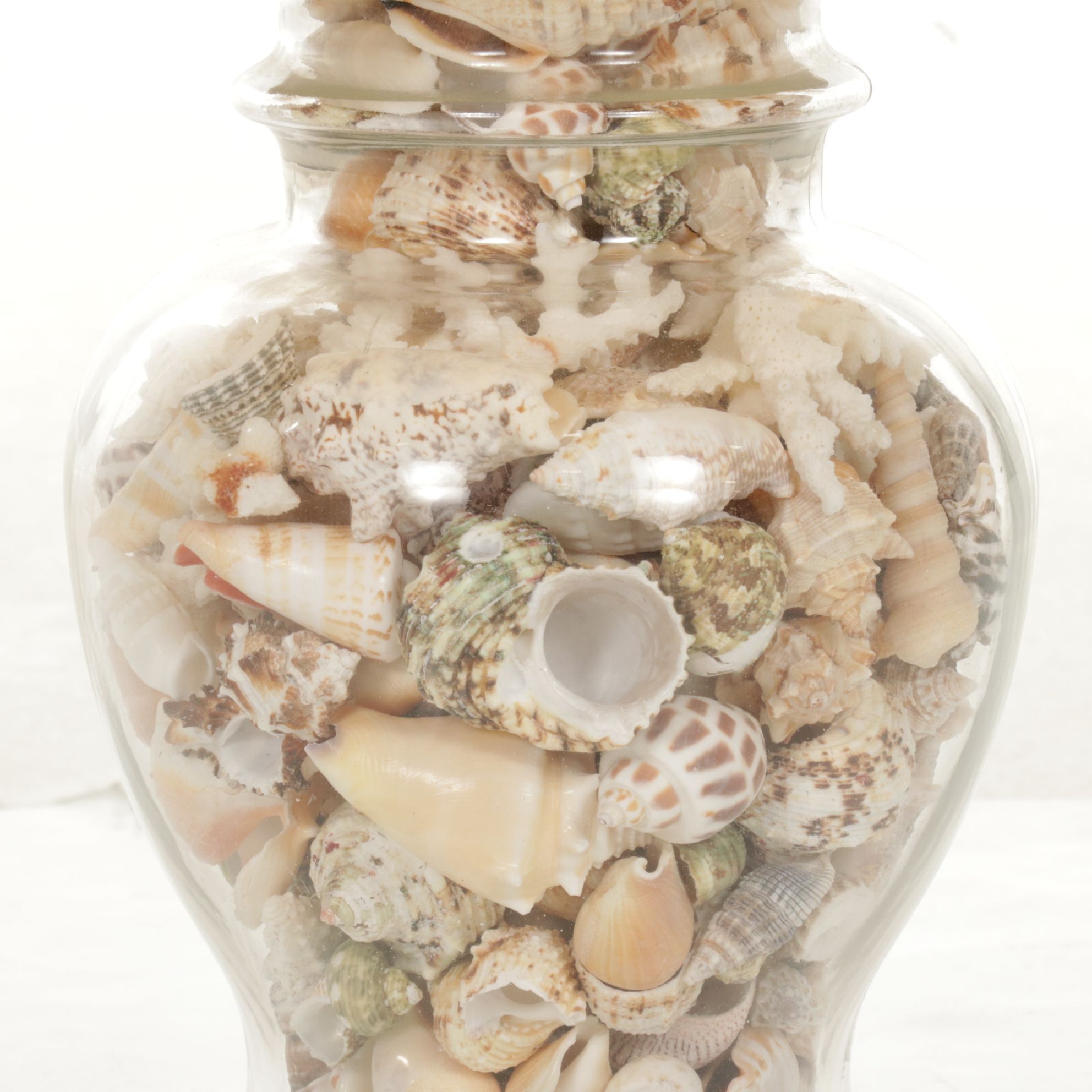 Seashell Filled Glass Jar Table Lamp with Pleated Shade