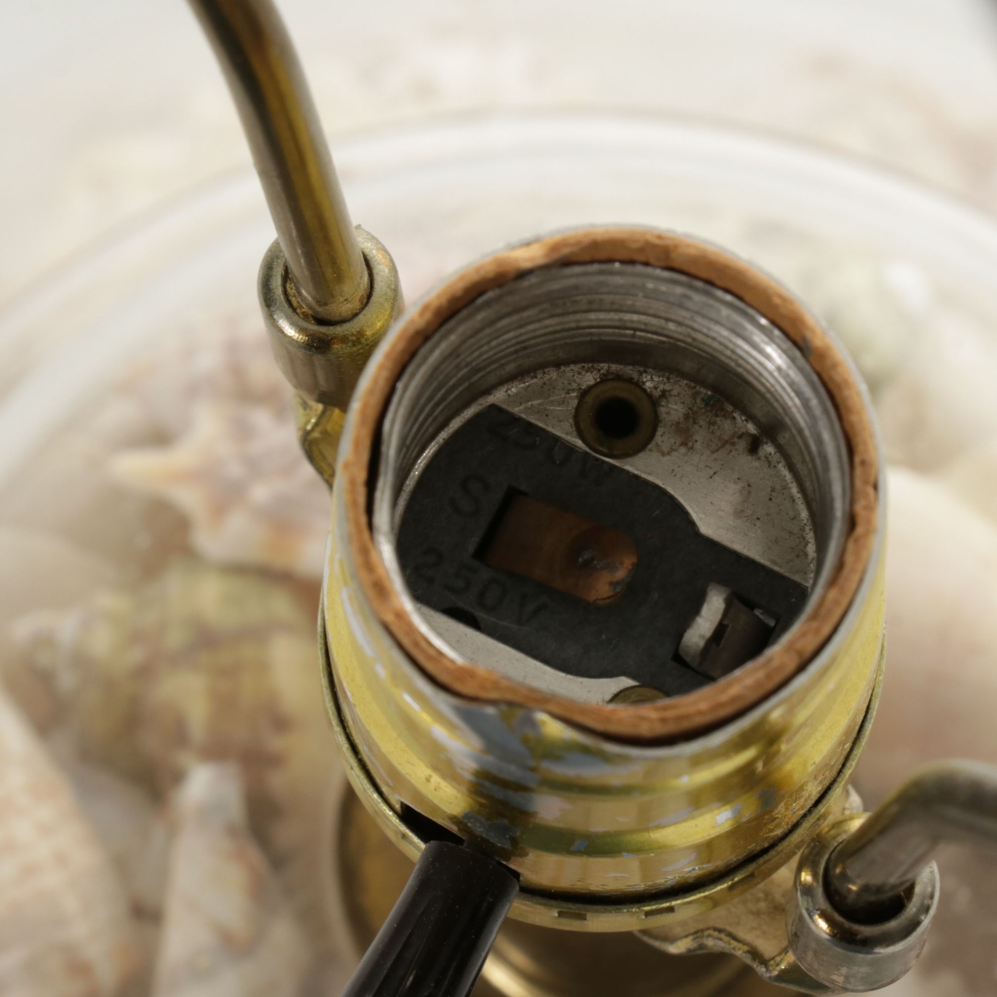 Seashell Filled Glass Jar Table Lamp with Pleated Shade