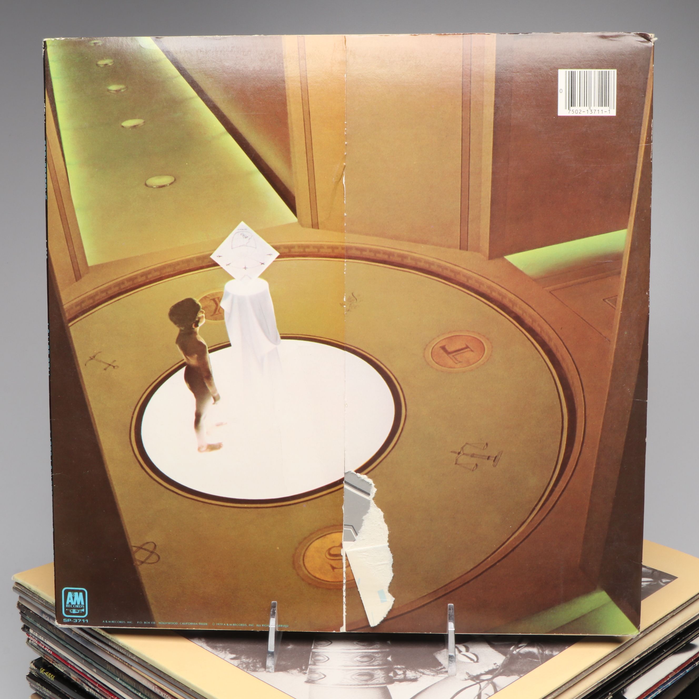 Diana Ross, Madonna, Cher and More Vinyl Records