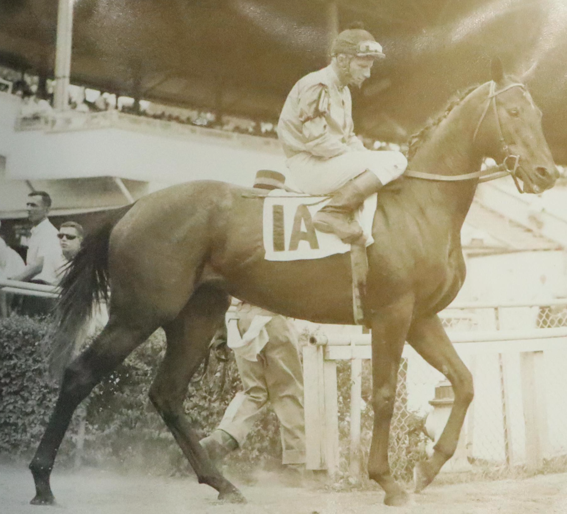 River Downs Horse Racing Photo Print Album, Mid-20th Century