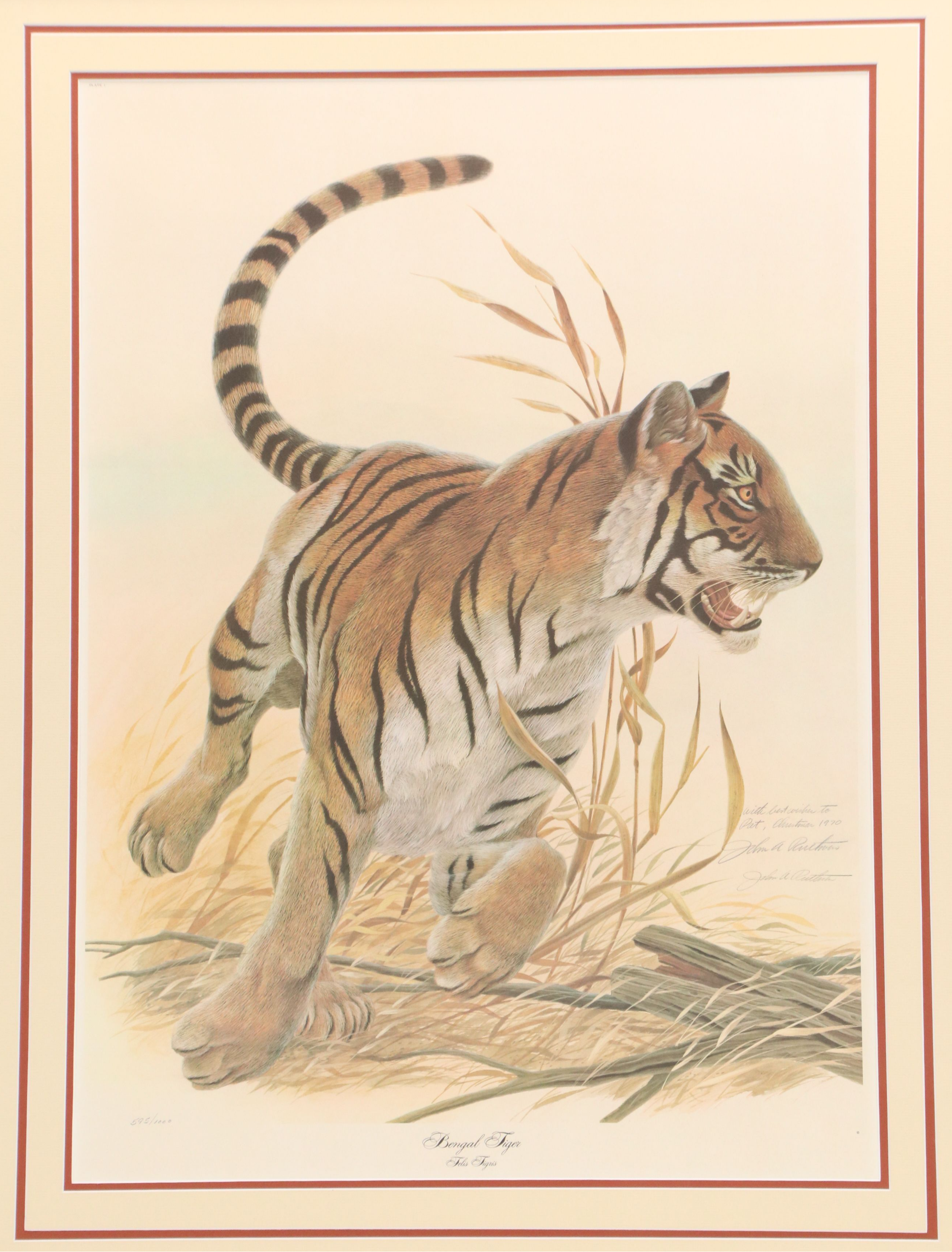John A. Ruthven Offset Lithograph "Bengal Tiger"