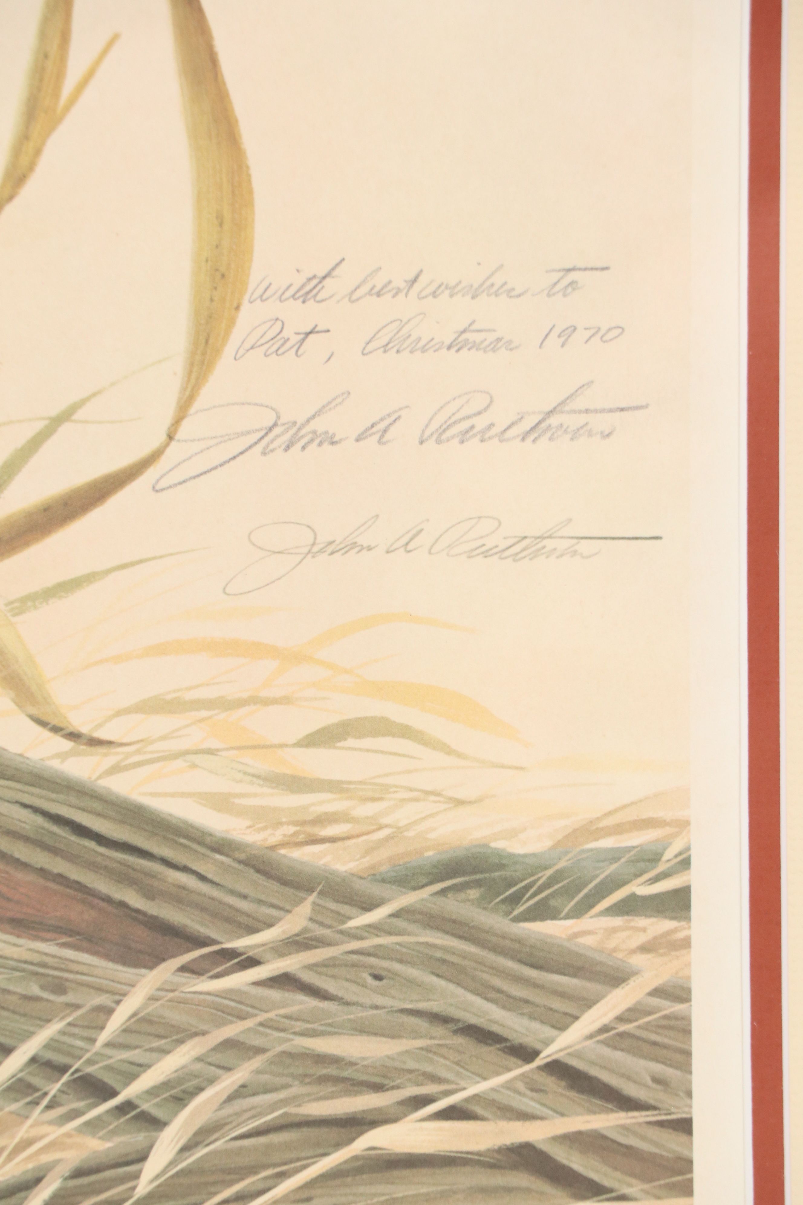 John A. Ruthven Offset Lithograph "Bengal Tiger"