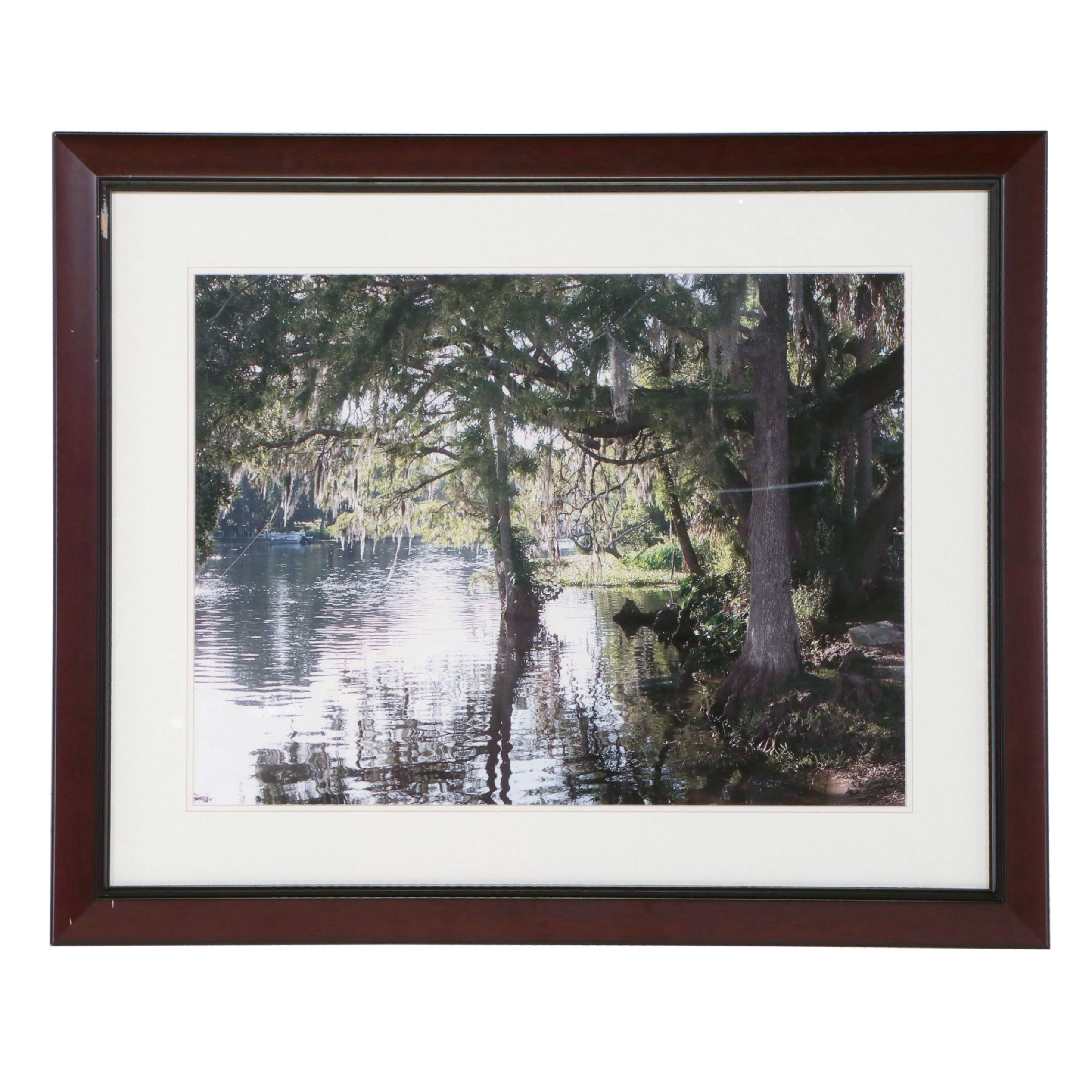 Southern Landscape Photographic Print with Spanish Moss Draped Tree
