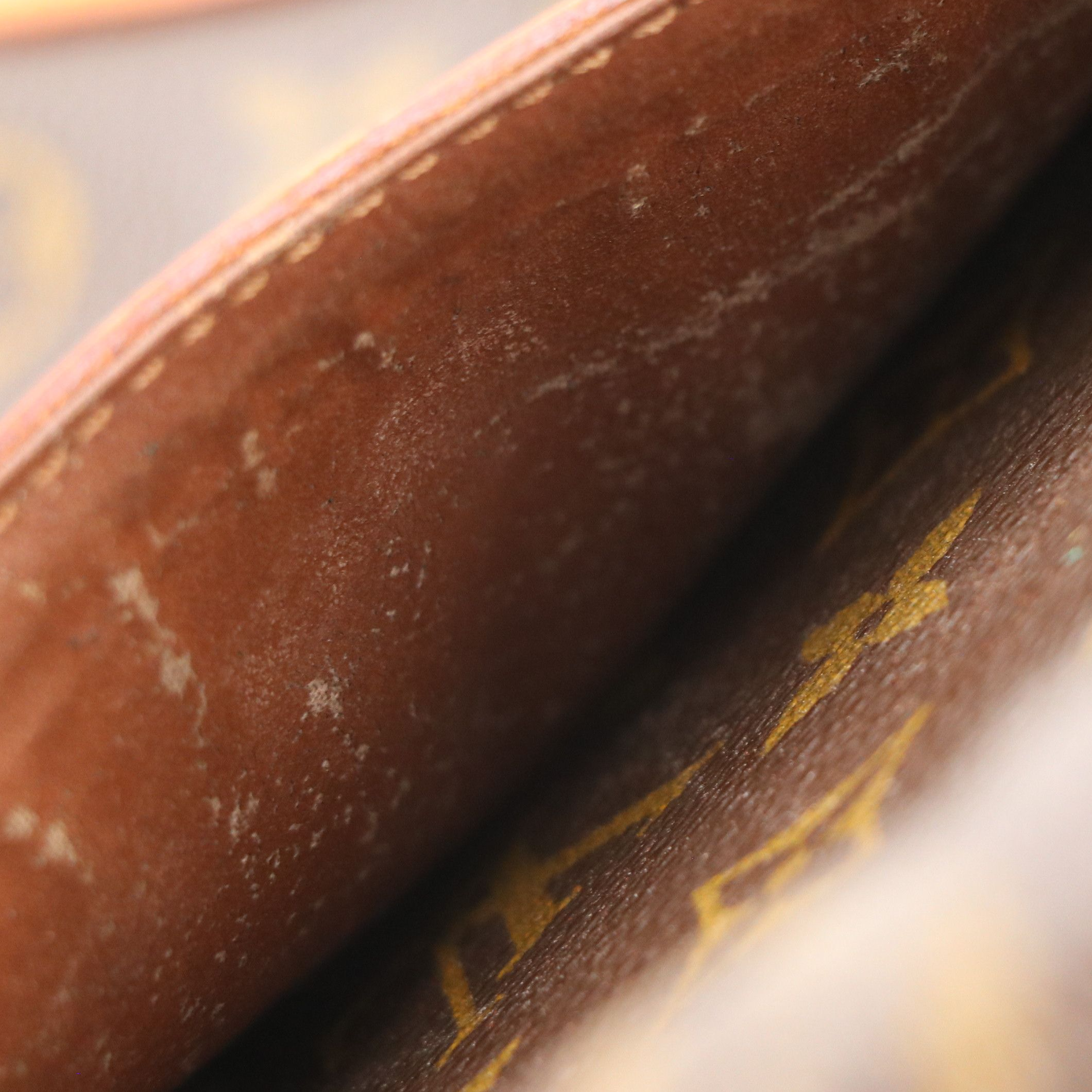 Louis Vuitton Danube GM in Monogram Canvas and Vachetta Leather