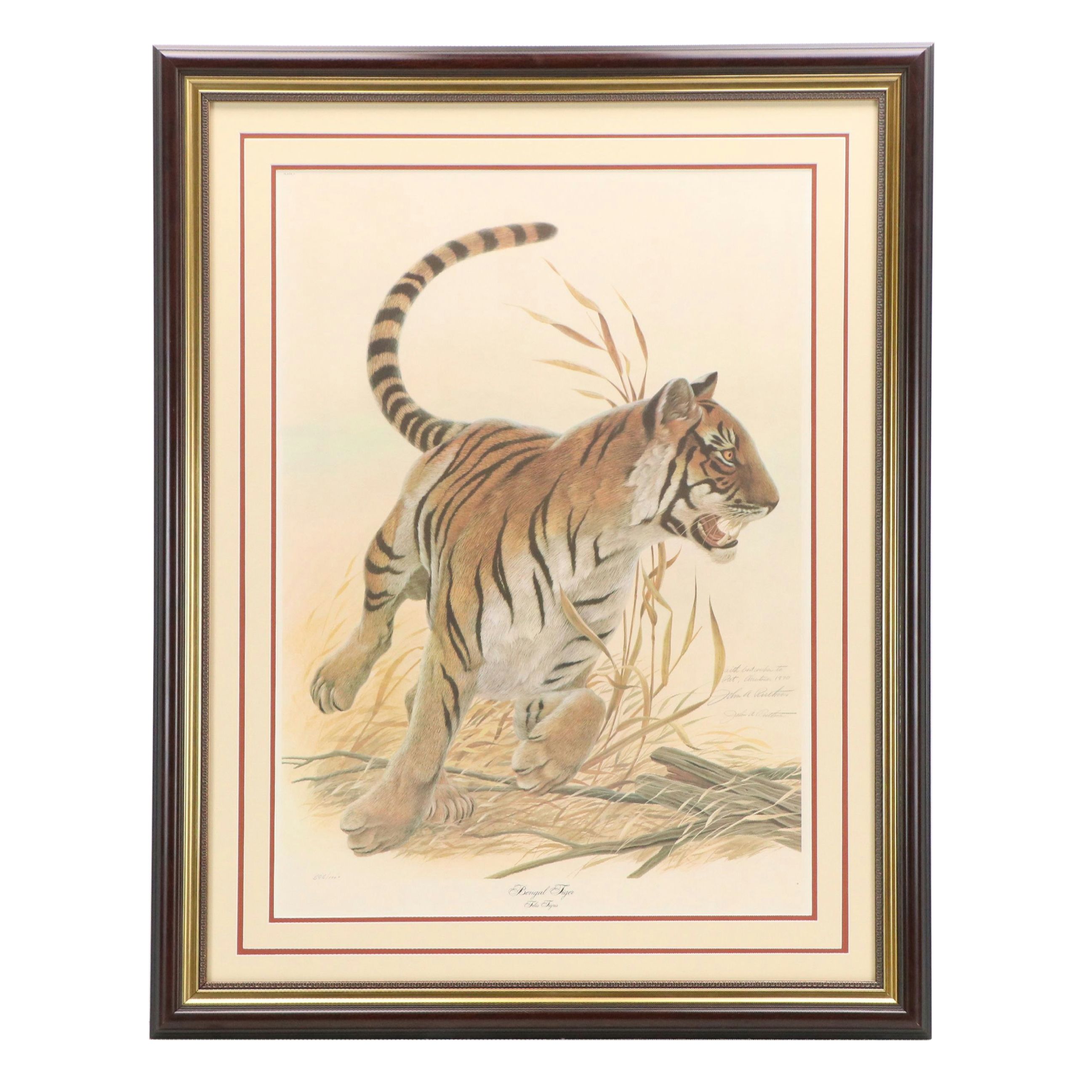 John A. Ruthven Offset Lithograph "Bengal Tiger"