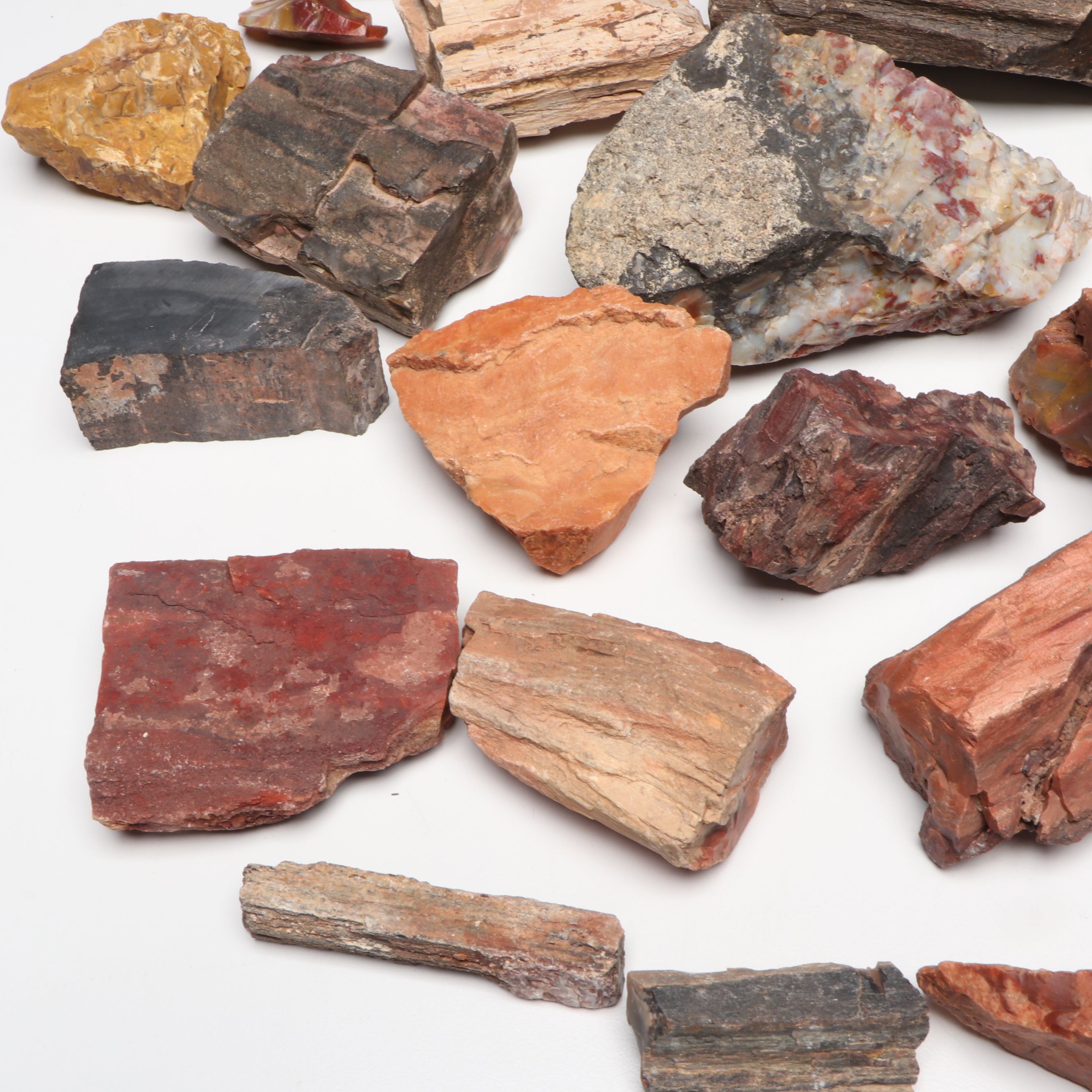 Collection of Petrified Wood and Agate Rocks