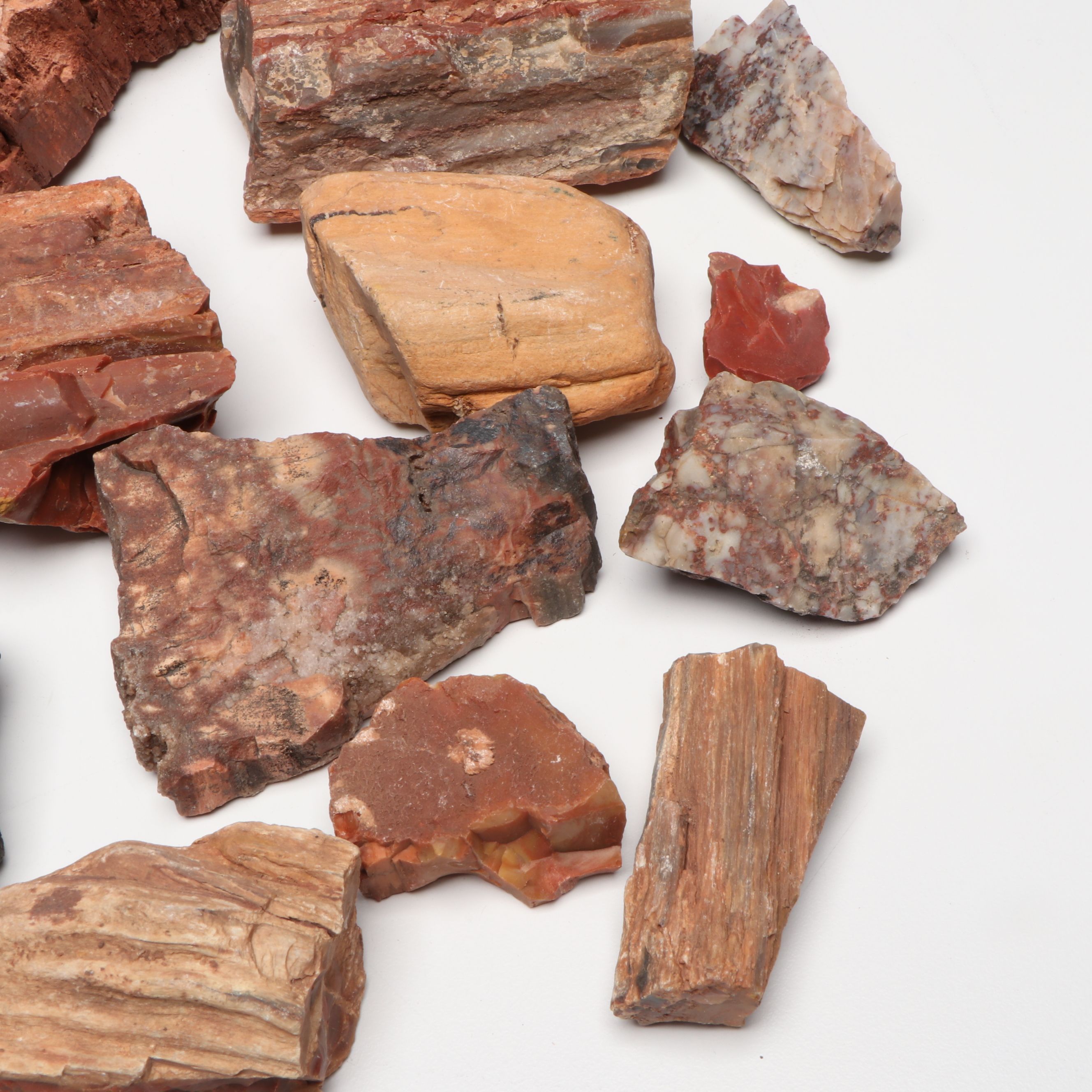 Collection of Petrified Wood and Agate Rocks