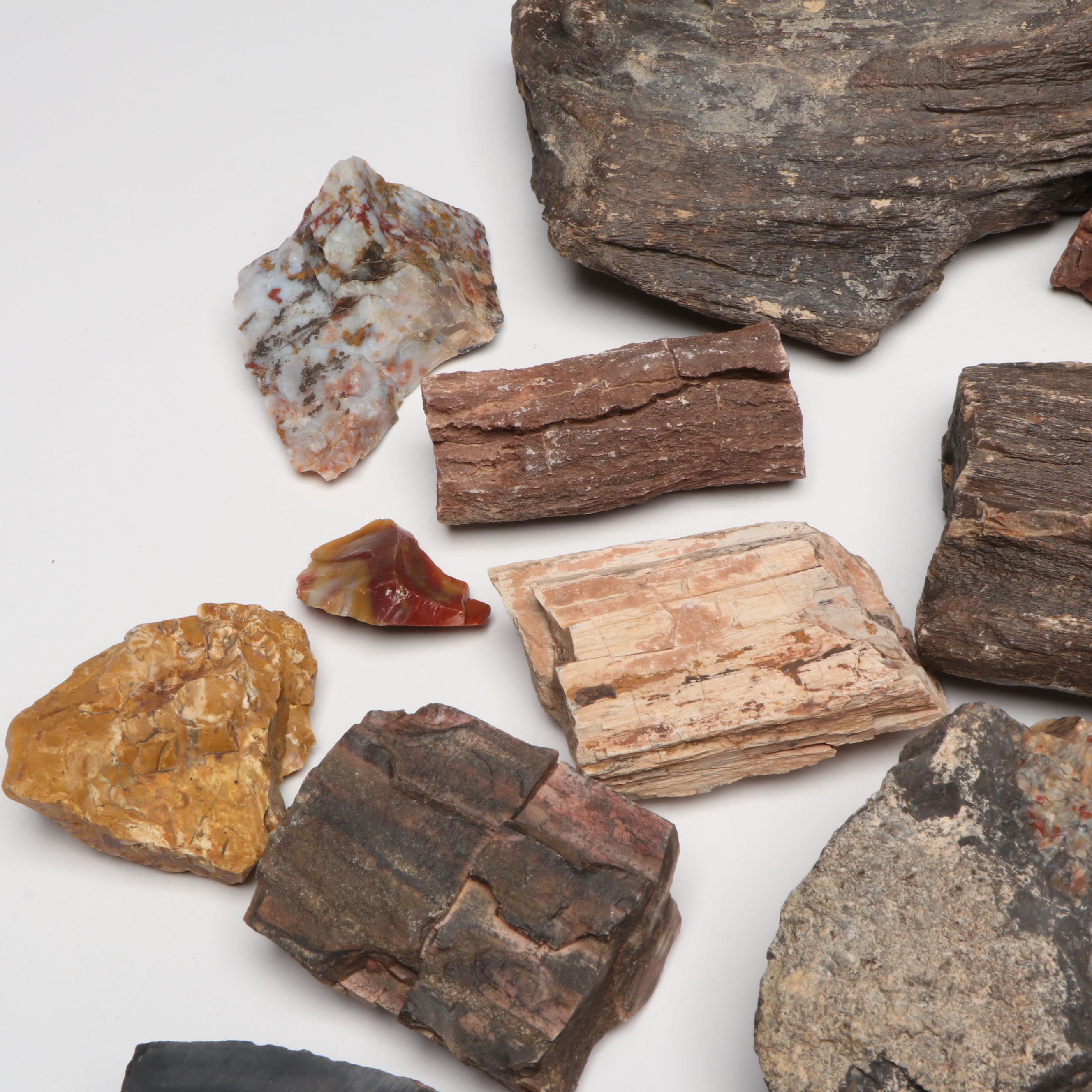 Collection of Petrified Wood and Agate Rocks