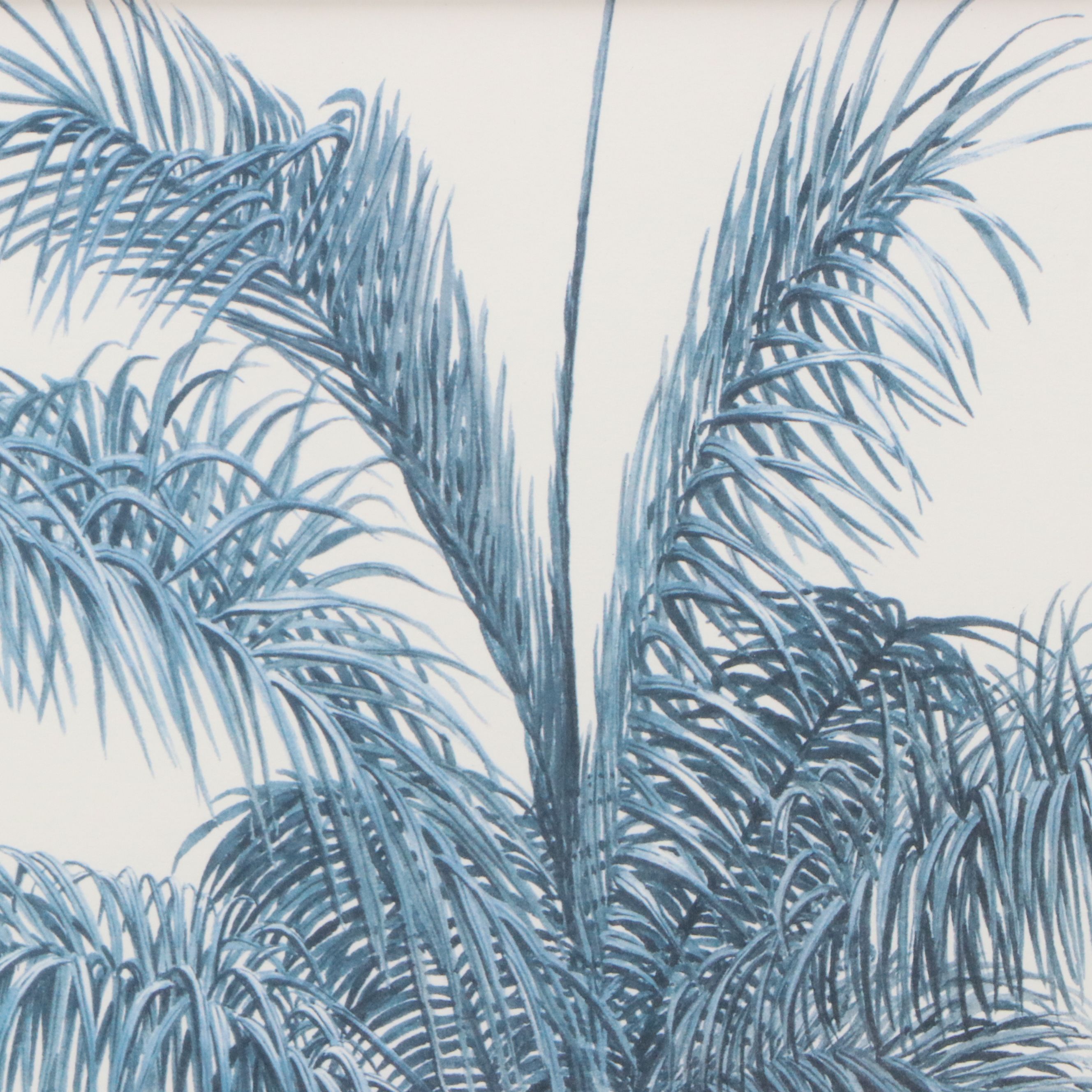 Diane Peebles Offset Lithograph "Cuban Royal Palm"