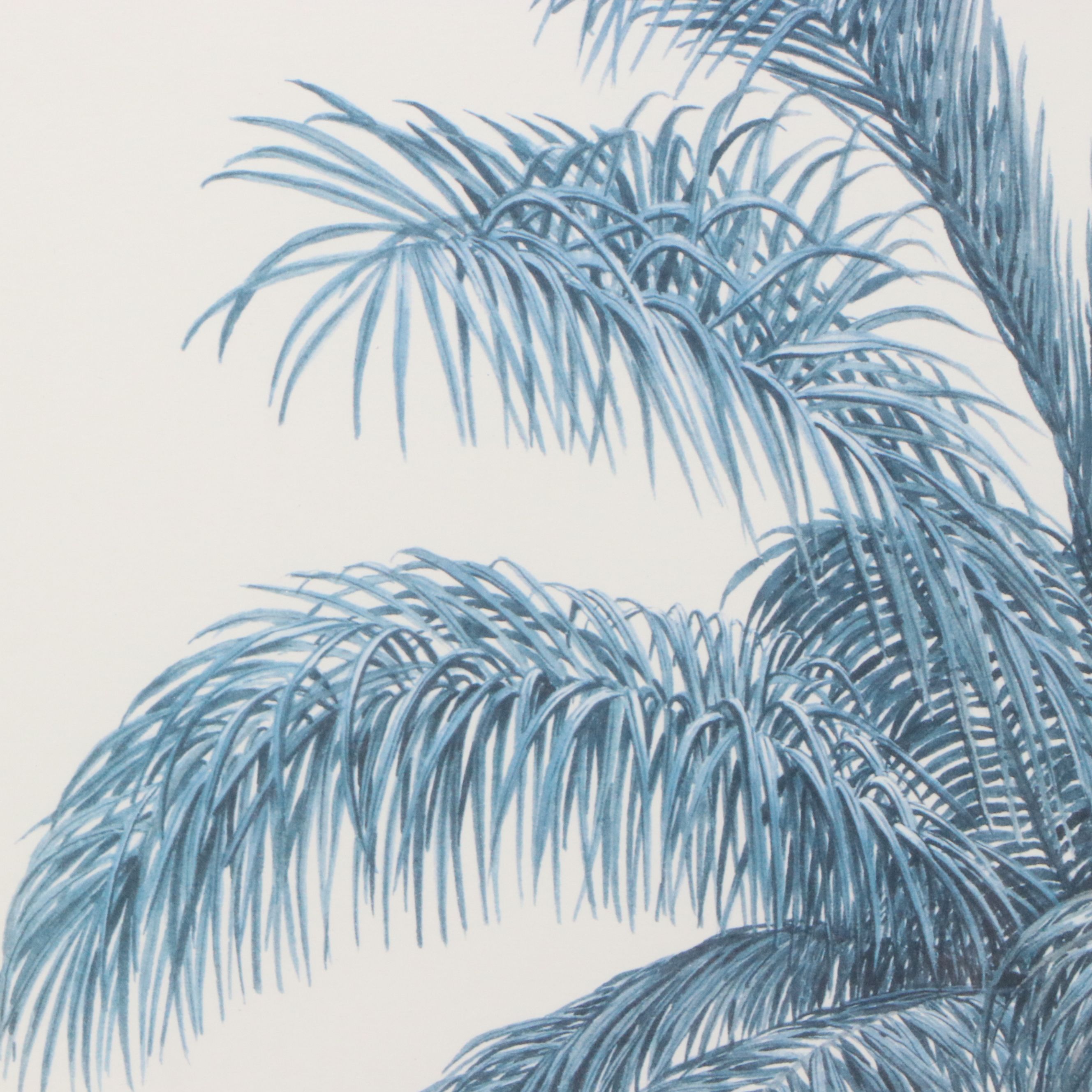 Diane Peebles Offset Lithograph "Cuban Royal Palm"